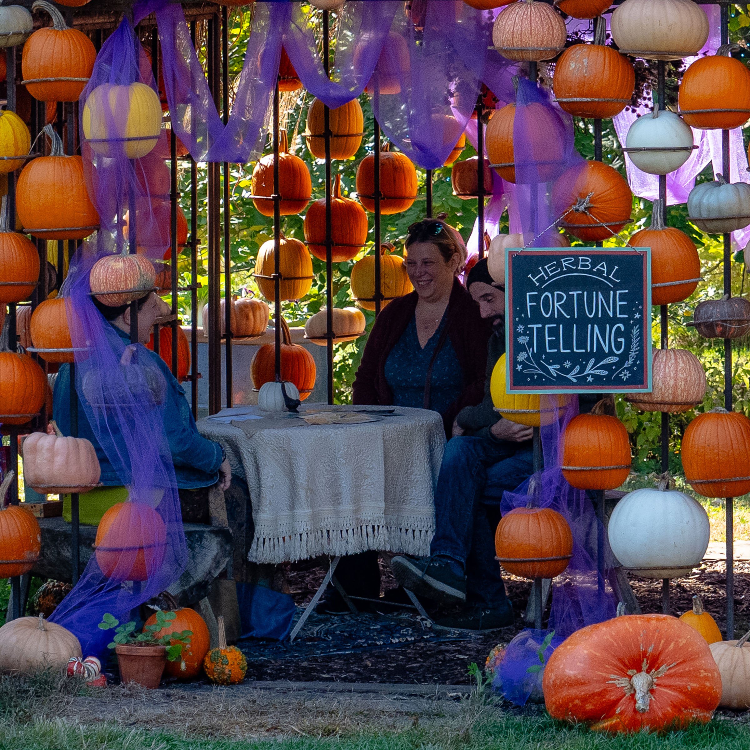 HERBAL FORTUNE TELLING