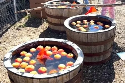 fall-festival-game-idea-fishing-for-apples.jpg