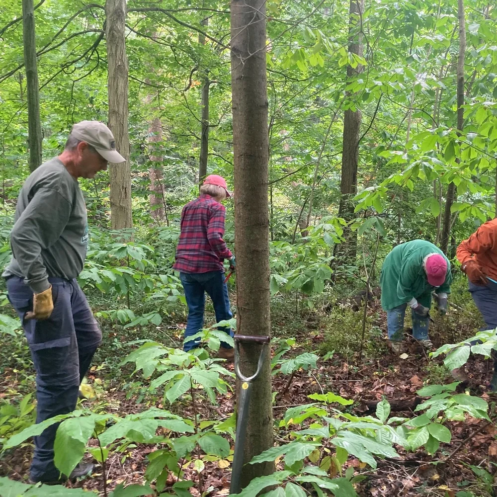 Volunteer — Fernwood Botanical Garden