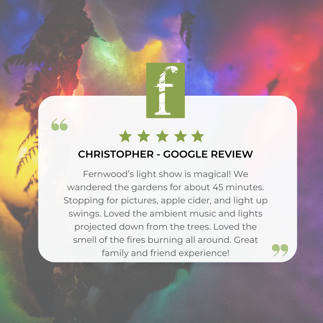 LIGHTS google review2.png
