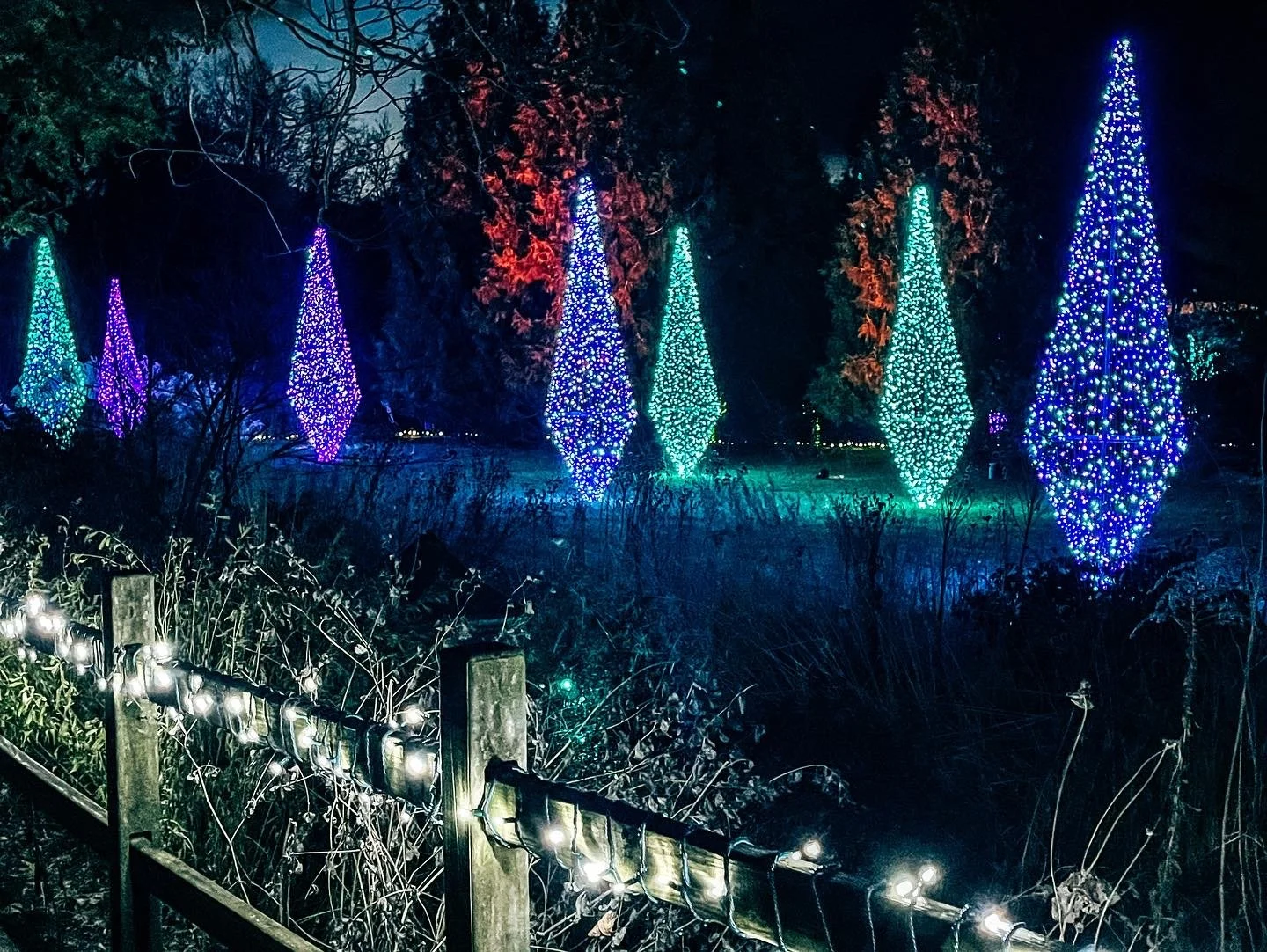 Tickets LIGHTS at Fernwood — Fernwood Botanical Garden