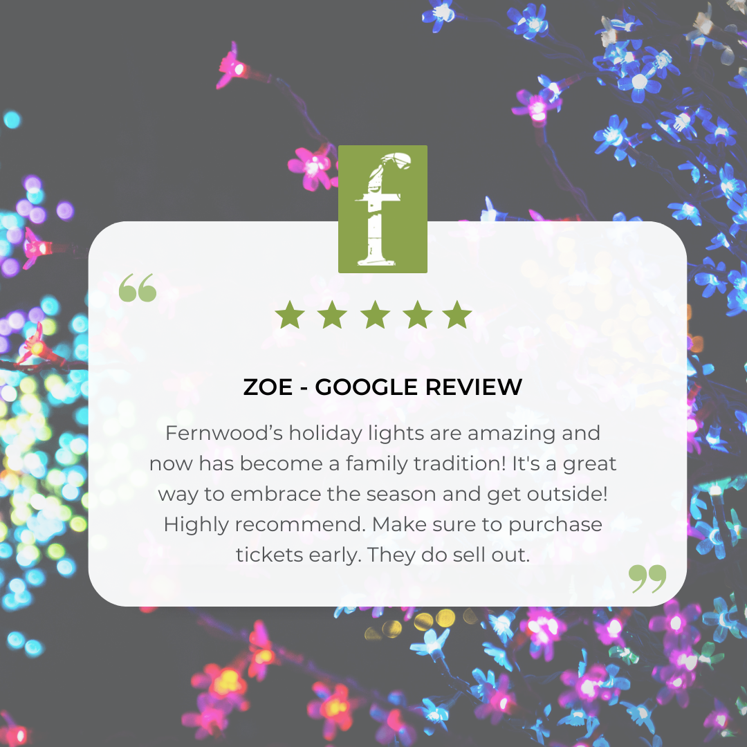 LIGHTS google review.png