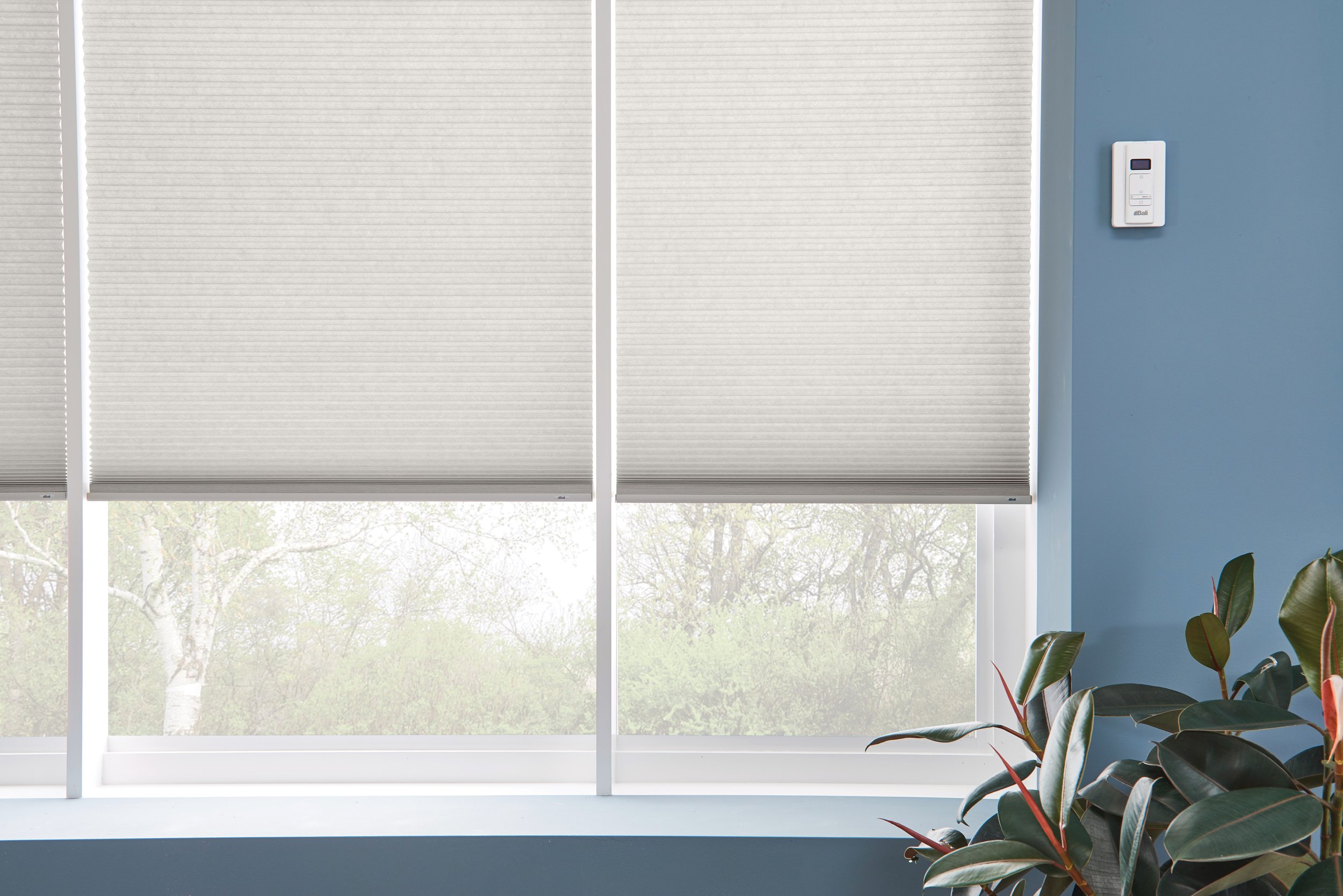 BaliDC-BFGI-cellular-shades-multi-window-with-remote-ed18-v1.jpg