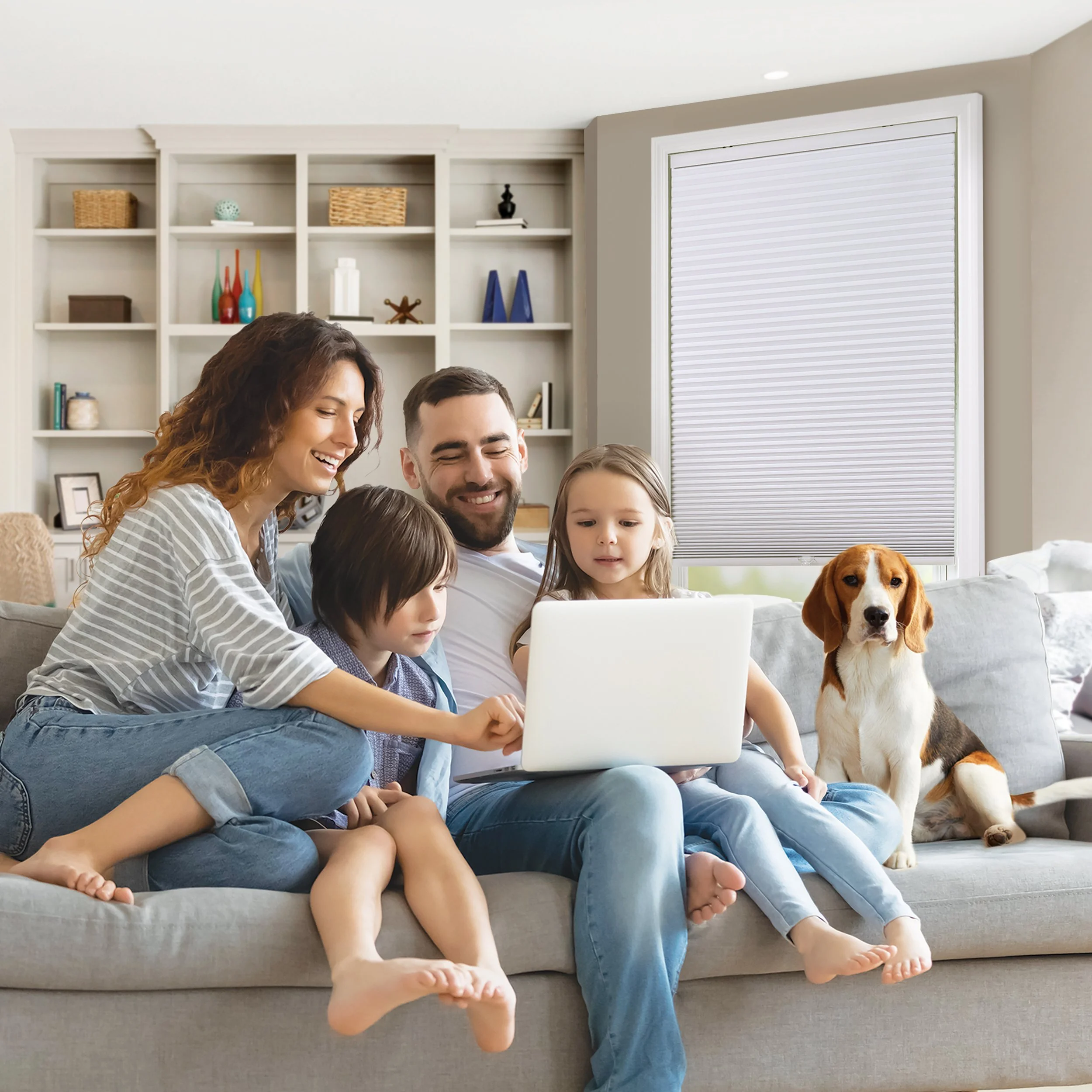 Beautiful Windows, Smarter Budget: Meet Our Value Collection