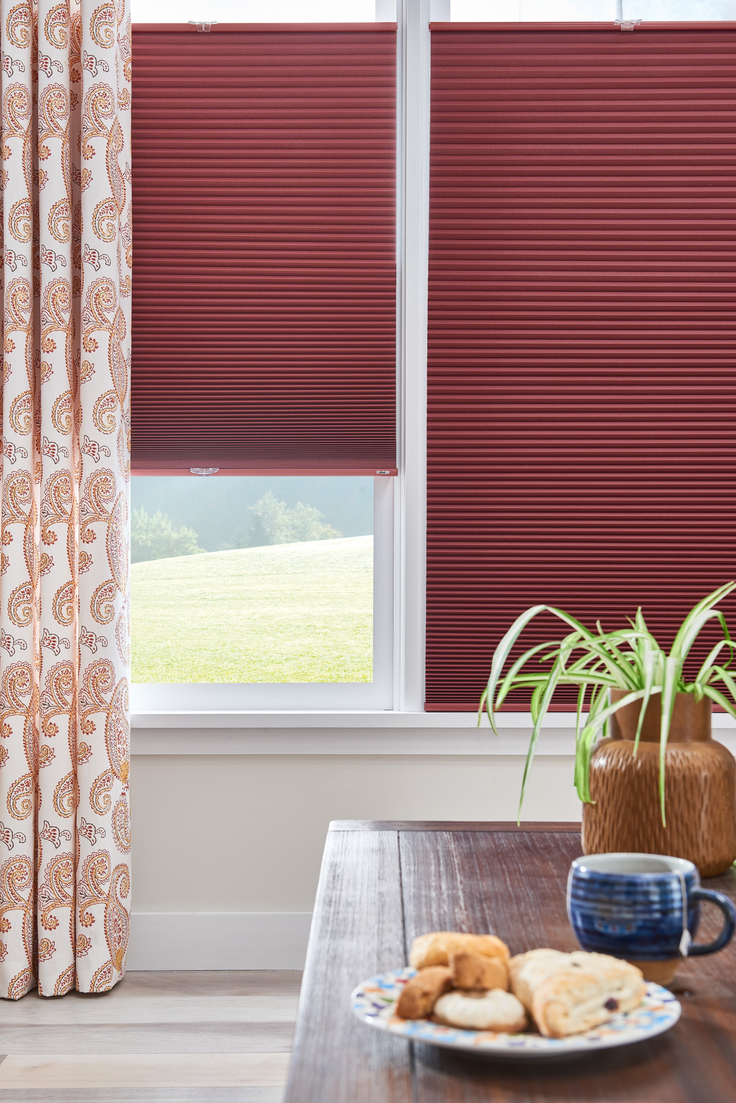 BaliDC-BEFI-cellular-shades-bottom-up-top-down-ed18-v1.jpg