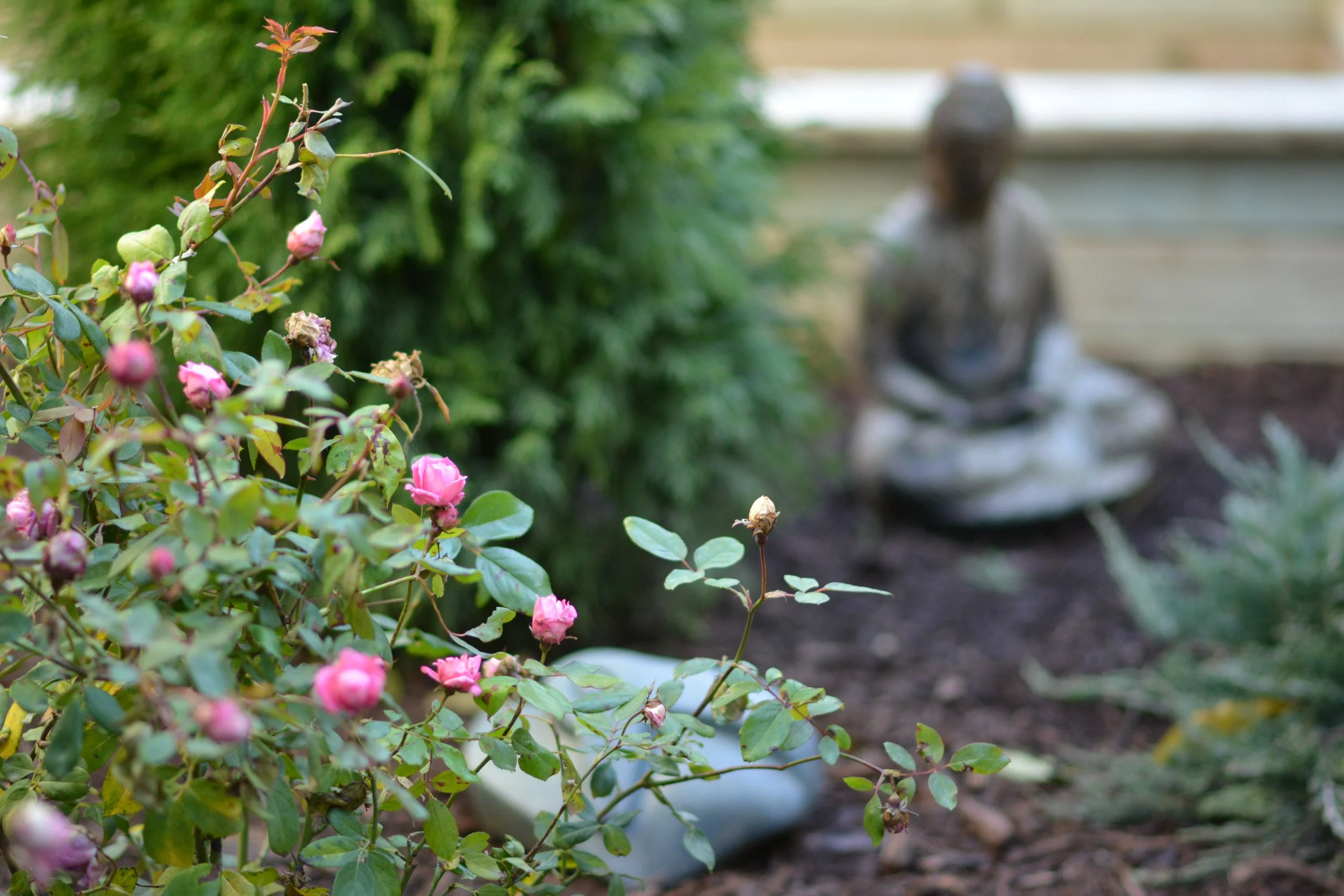 Our projects focus on executing quality hardscape and landscapes, including patios, outdoor fire pits, grilling areas, set walls, landscape lighting, pergolas, and drainage solutions.  We also offer full-service maintenance packages to keep your land