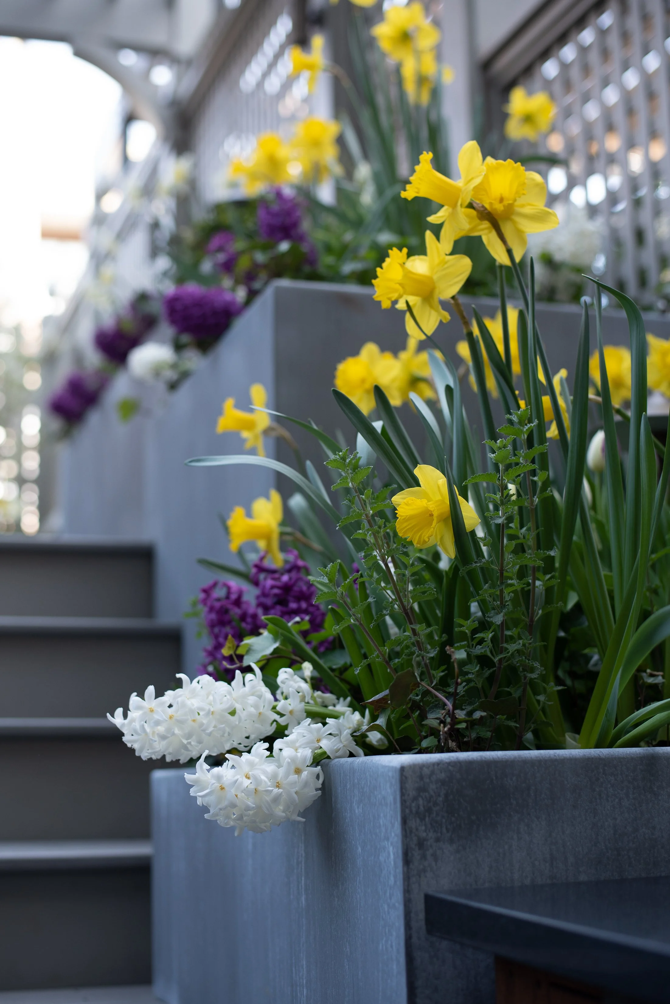 We provide a range of landscape services including Hardscapes, Outdoor Kitchens, Pergolas, Seat Walls, Fire Pits, Lawns, Landscape Lighting, Water Features, Custom Screening, Planting, Drainage Solutions, Holiday Lighting, and much more.  
