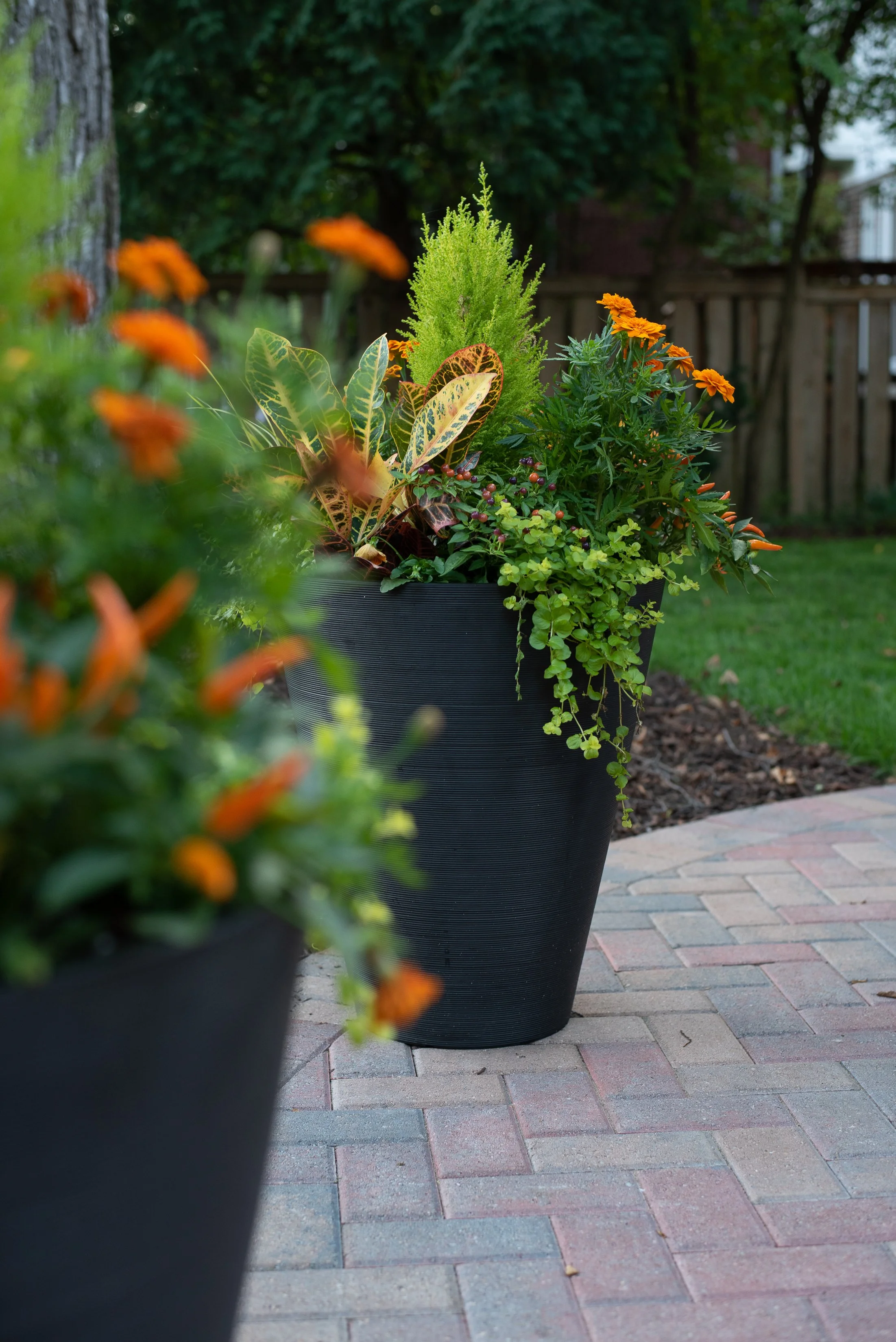 Our projects focus on executing quality hardscape and landscapes, including patios, outdoor fire pits, grilling areas, set walls, landscape lighting, pergolas, and drainage solutions.  We also offer full-service maintenance packages to keep your land