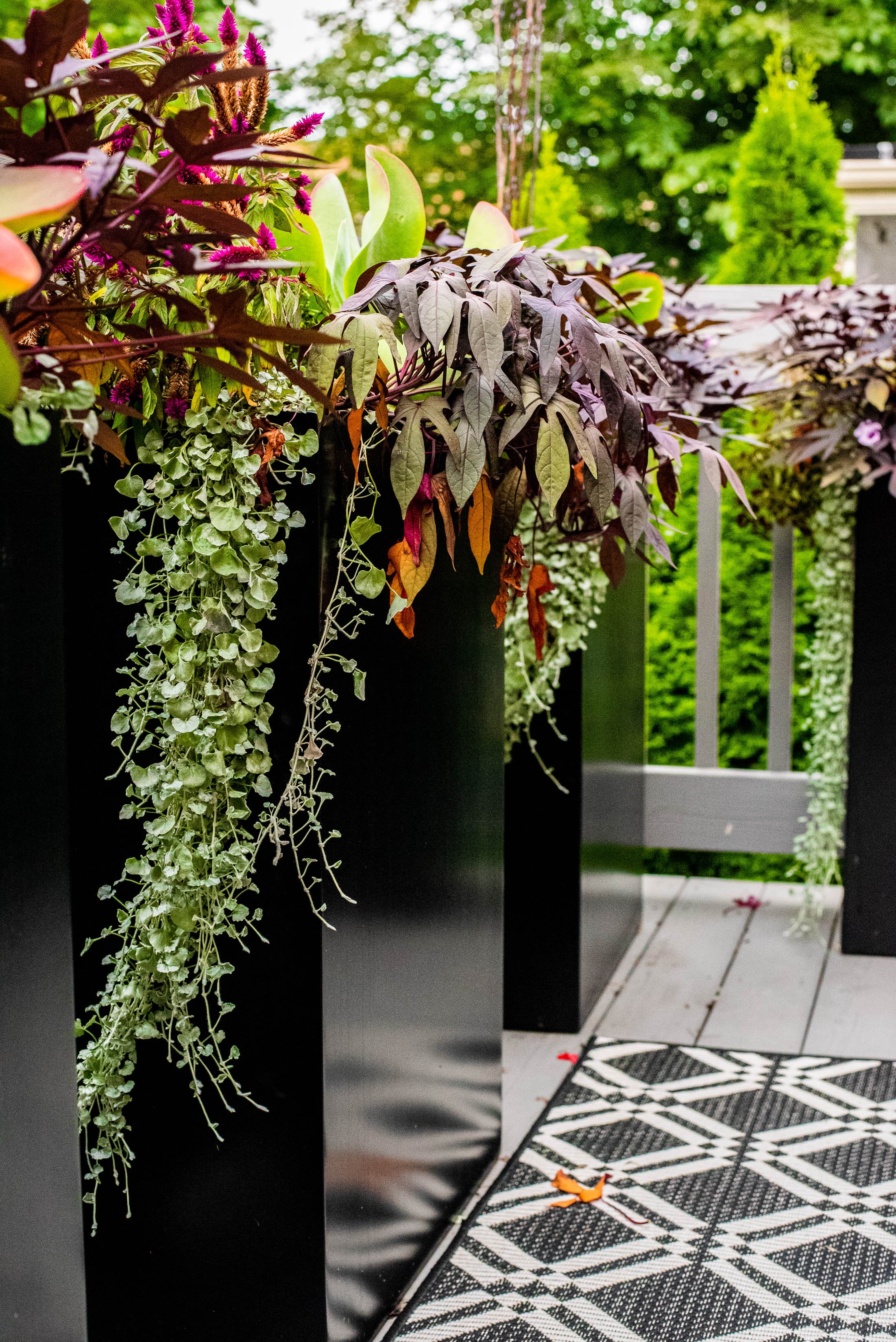 We provide a range of landscape services including Hardscapes, Outdoor Kitchens, Pergolas, Seat Walls, Fire Pits, Lawns, Landscape Lighting, Water Features, Custom Screening, Planting, Drainage Solutions, Holiday Lighting, and much more.  