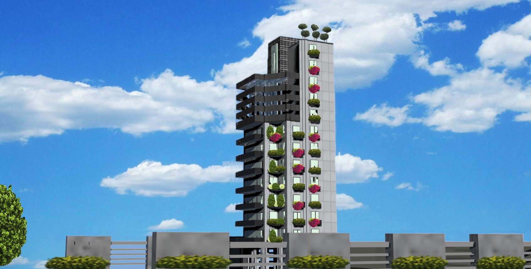 David Younes Portfolio