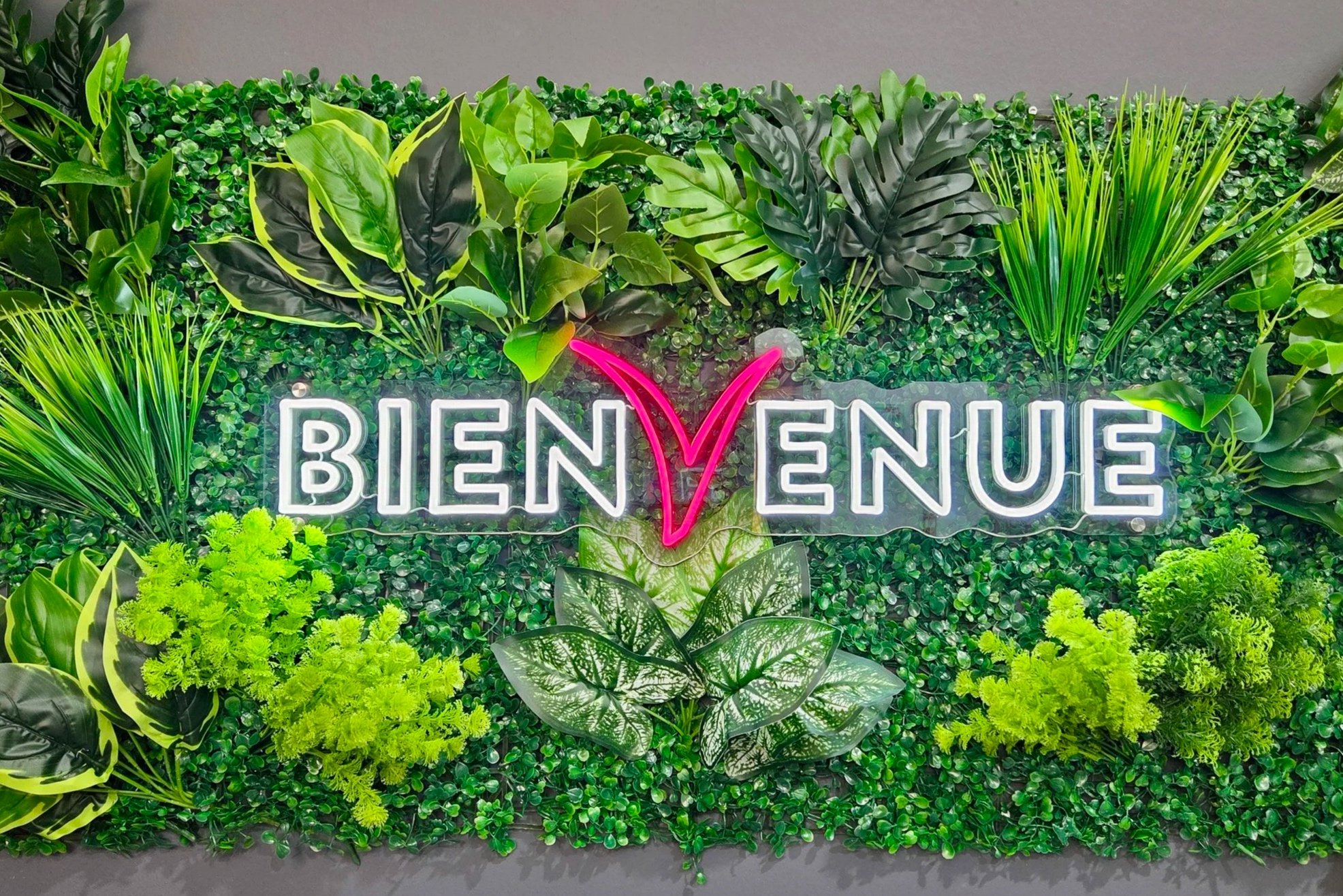 ENVIA CUISINES - néon