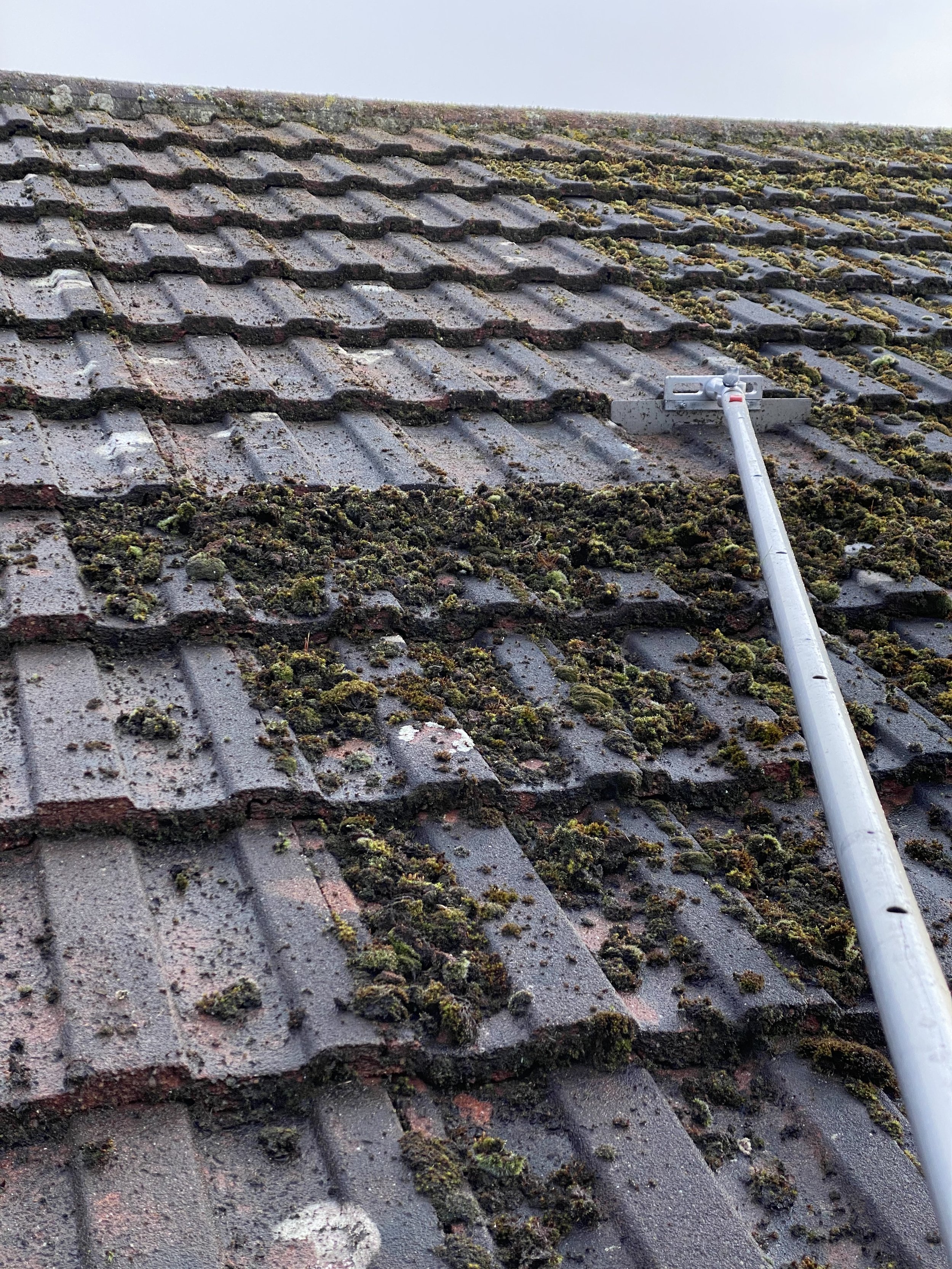 Roof Cleaning - manual moss removal/roof cleaning by iNEX