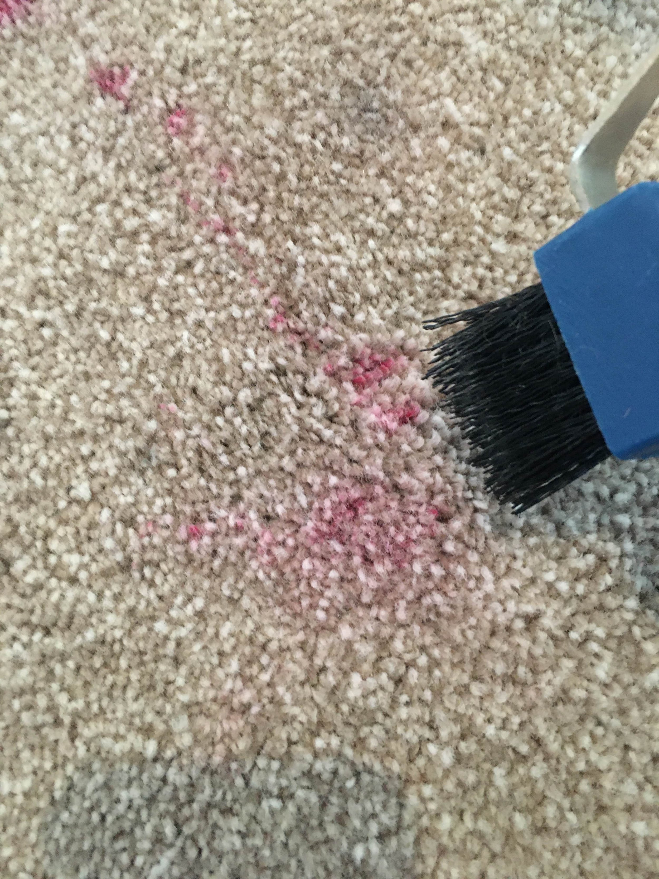 Carpet Stain Treatment Service