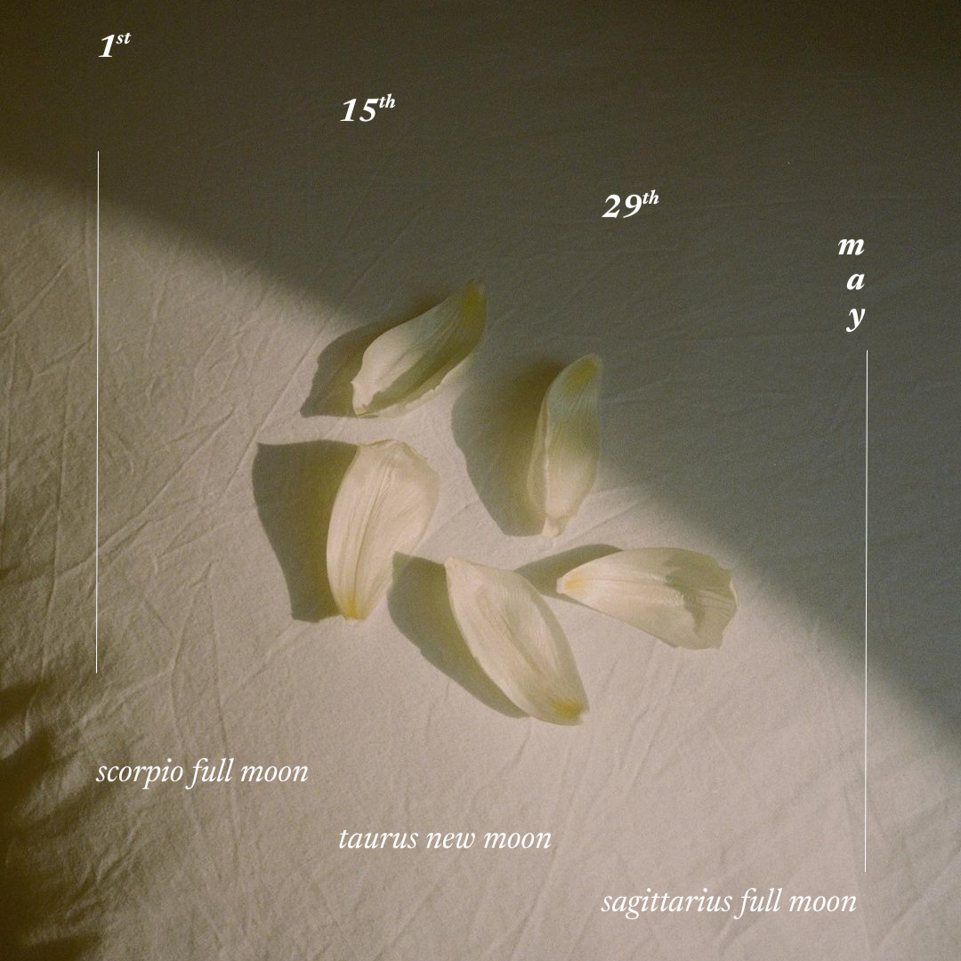 women%E2%80%99s+circles+%2B+sound+healing+autumn+2025+%28Instagram+Post+%2845%29%29-7.png