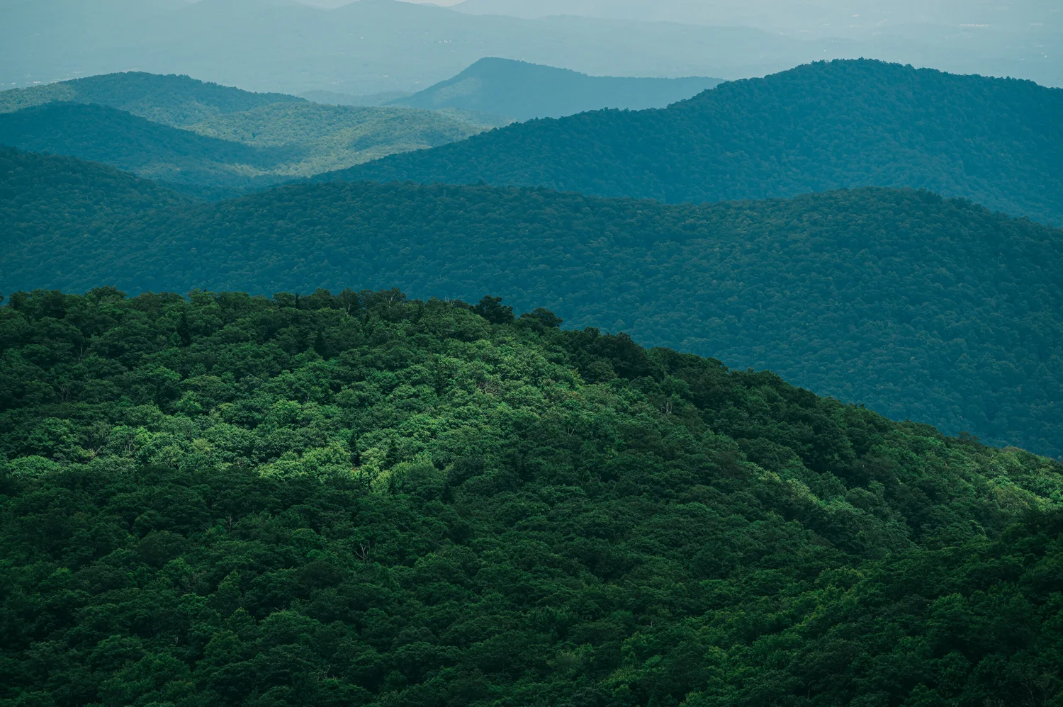 Layered Blue Ridge Mountain ridgelines viewed from the Blue Ridge Parkway