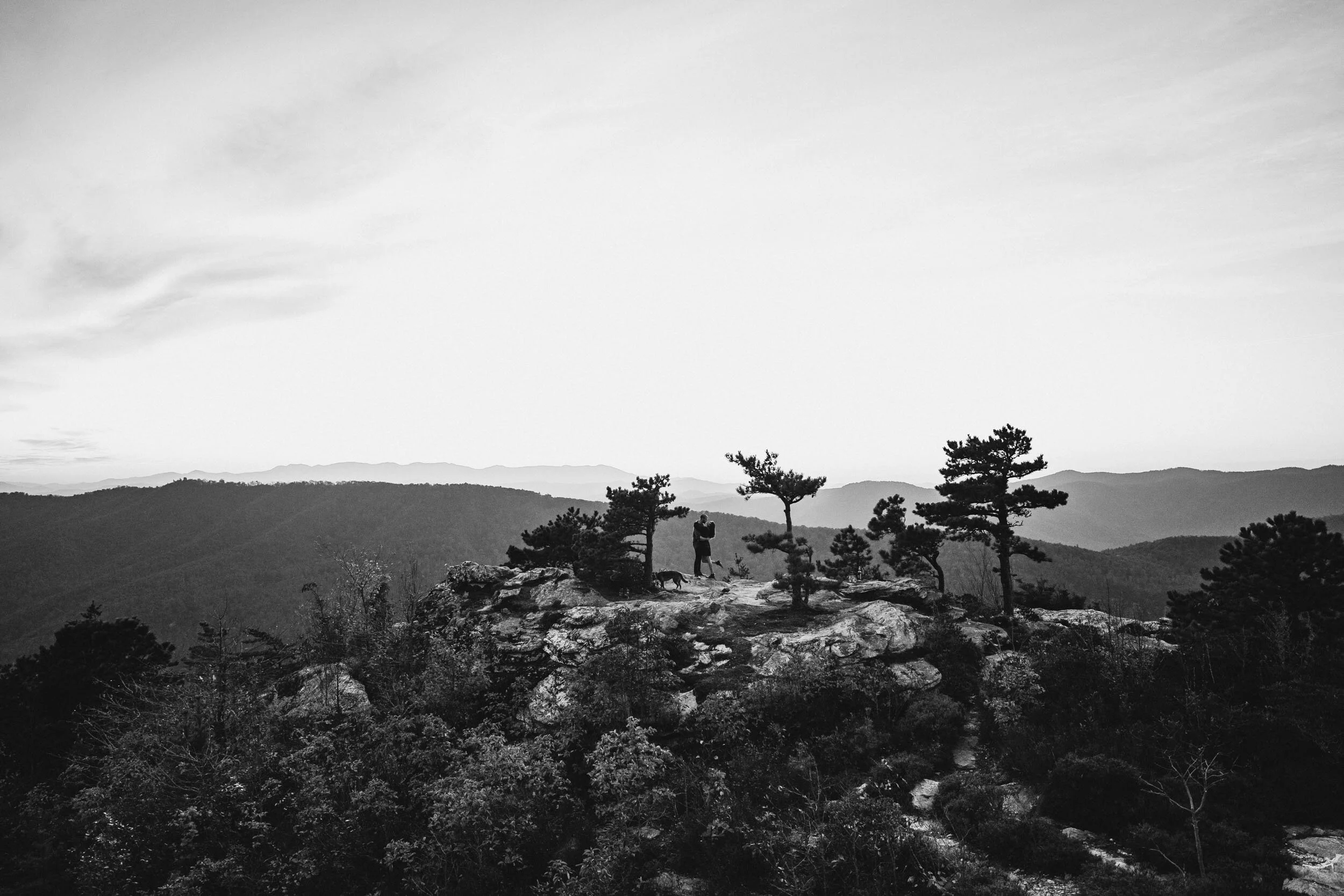 A black and white photograph of a couple embracing between some scrubby pine trees on a rugged, rocky ridge.