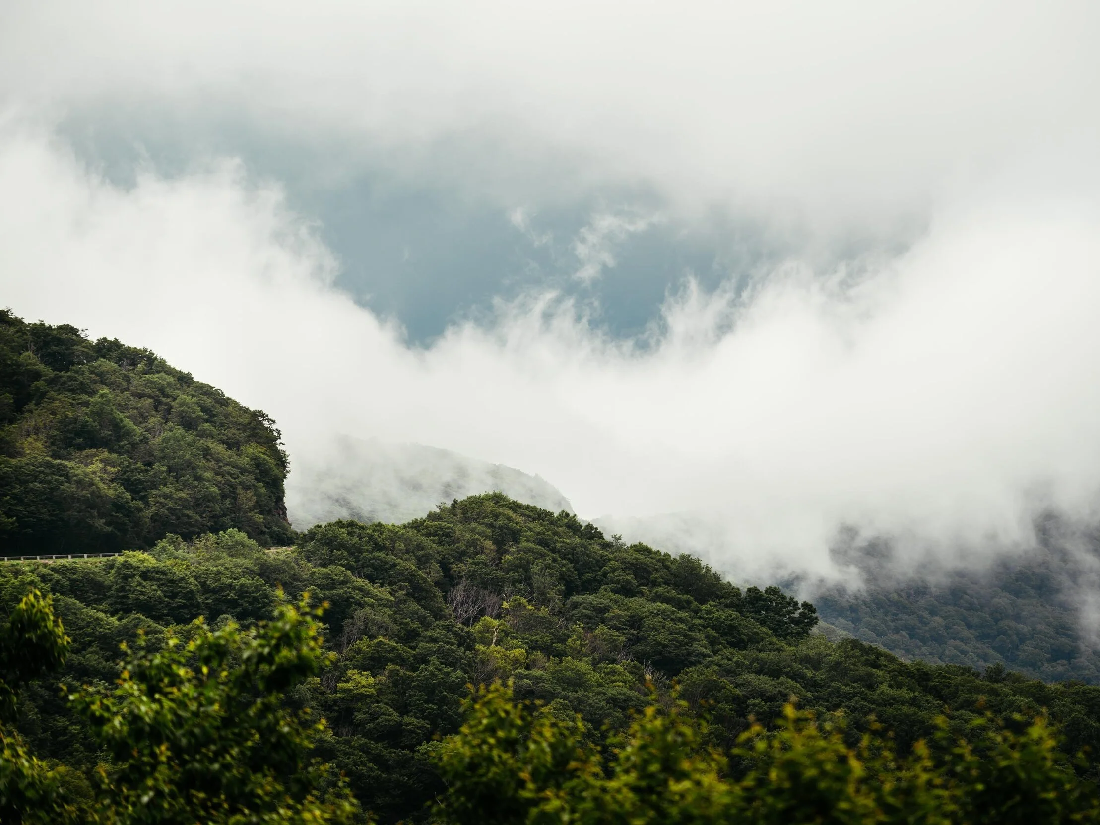 Foggy mountain view at Craggy Gardens near Asheville, North Carolina