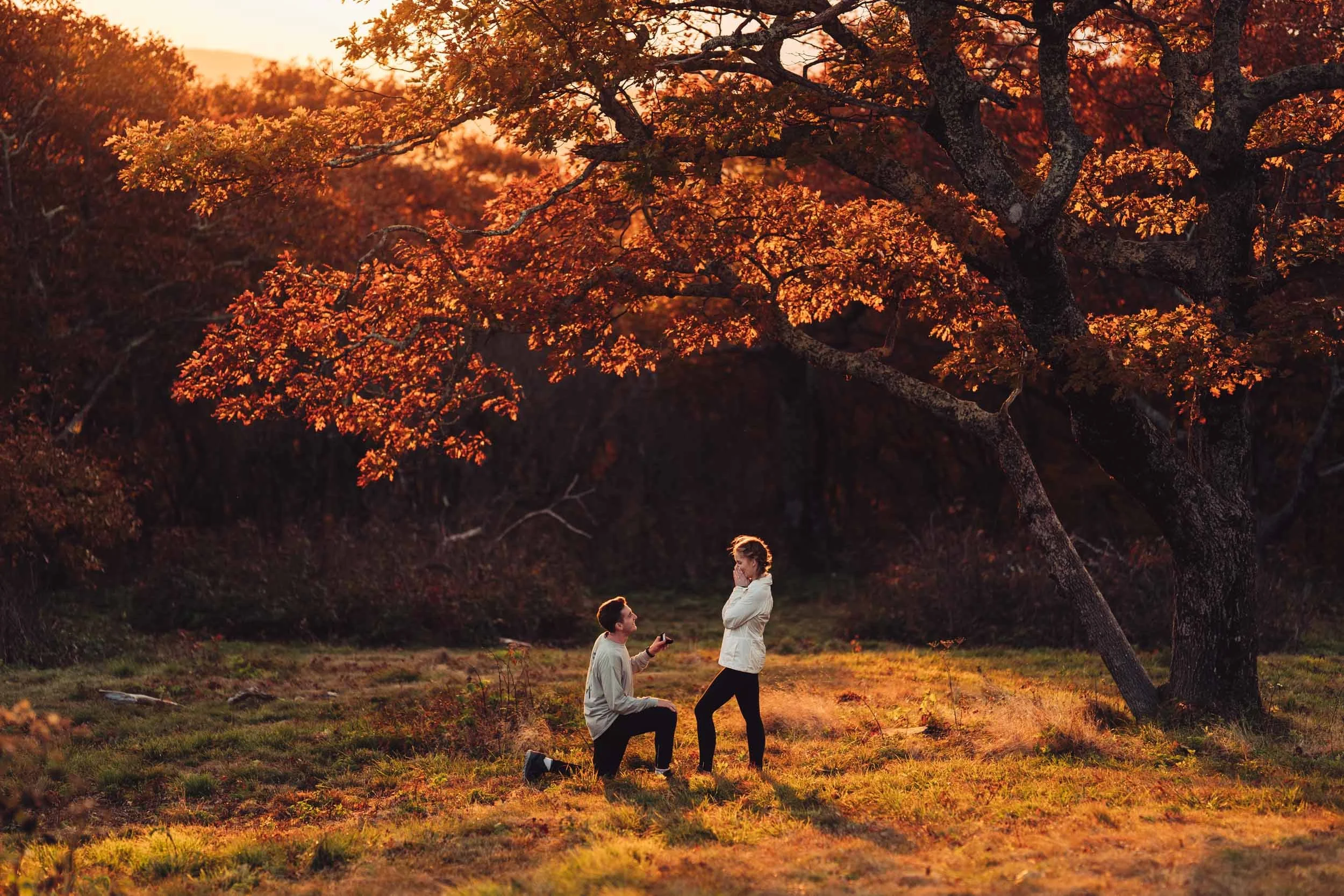 A couple proposing marriage outdoors under autumn trees as the sunset casts a warm glow, with one person kneeling and another standing with hands covering face.