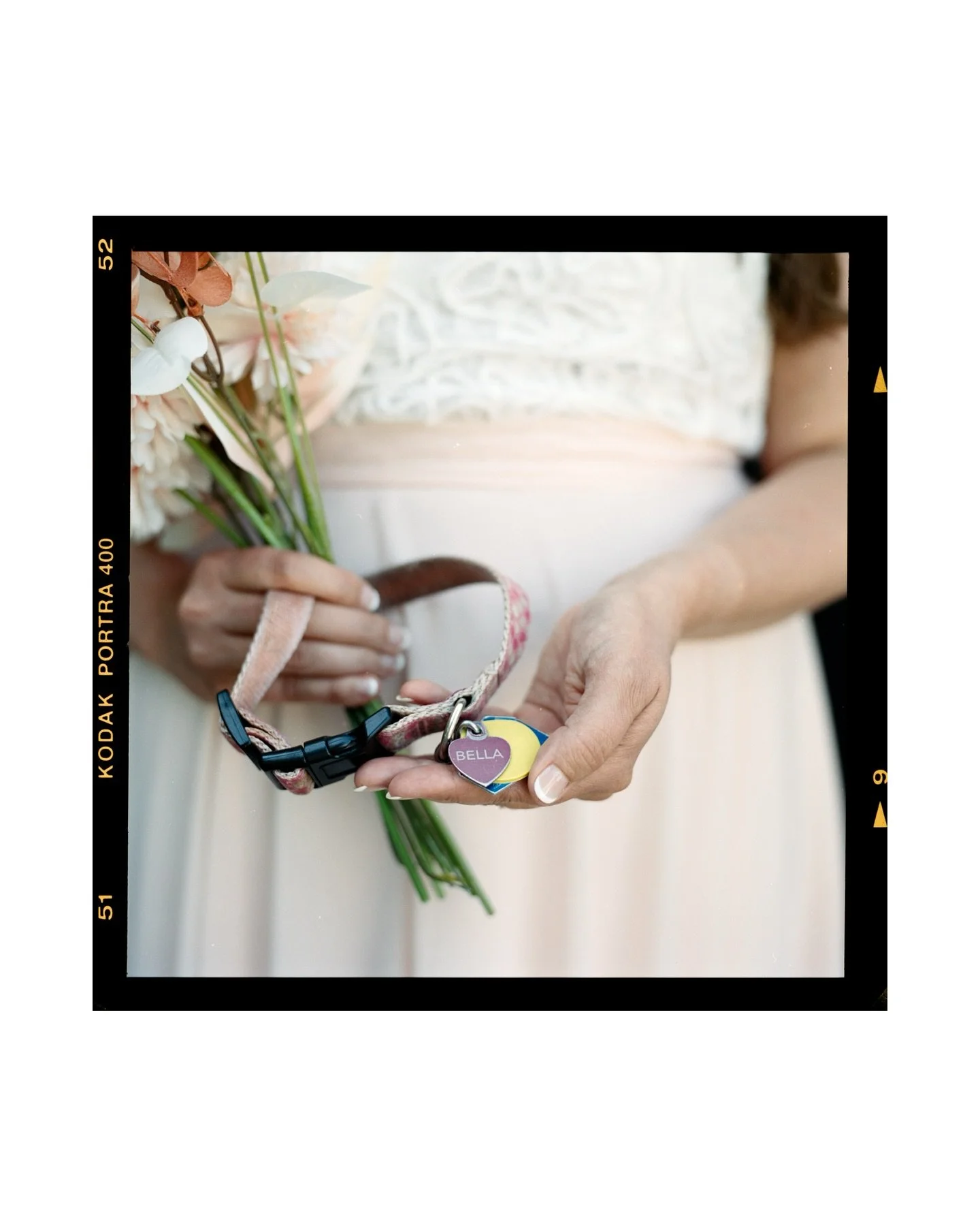Whitney + John | 06.06.25

Dreamy, ethereal moments on 6x6 (image 3)✨ 

Super excited to finally see and edit some film scans from past adventures. I absolutely love taking the film shots, but having to go through the necessary waiting period of deve