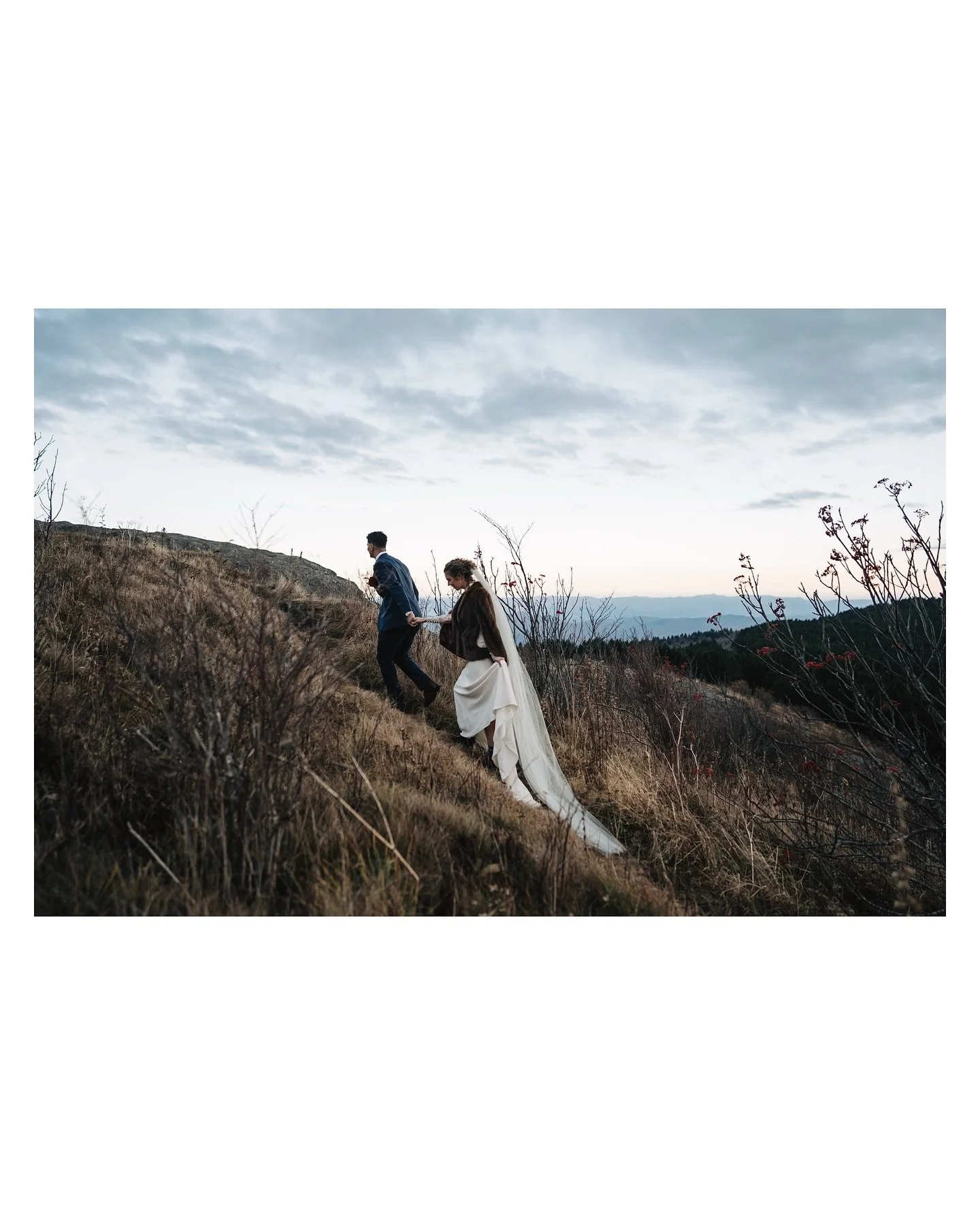 Lexi and Michael | 11.01.25

L + M kept things simple and meaningful &mdash; a backyard ceremony surrounded by family, led by a close friend who also happened to be a retired pilot and a big part of Michael&rsquo;s life. It was cool how they wove Mic