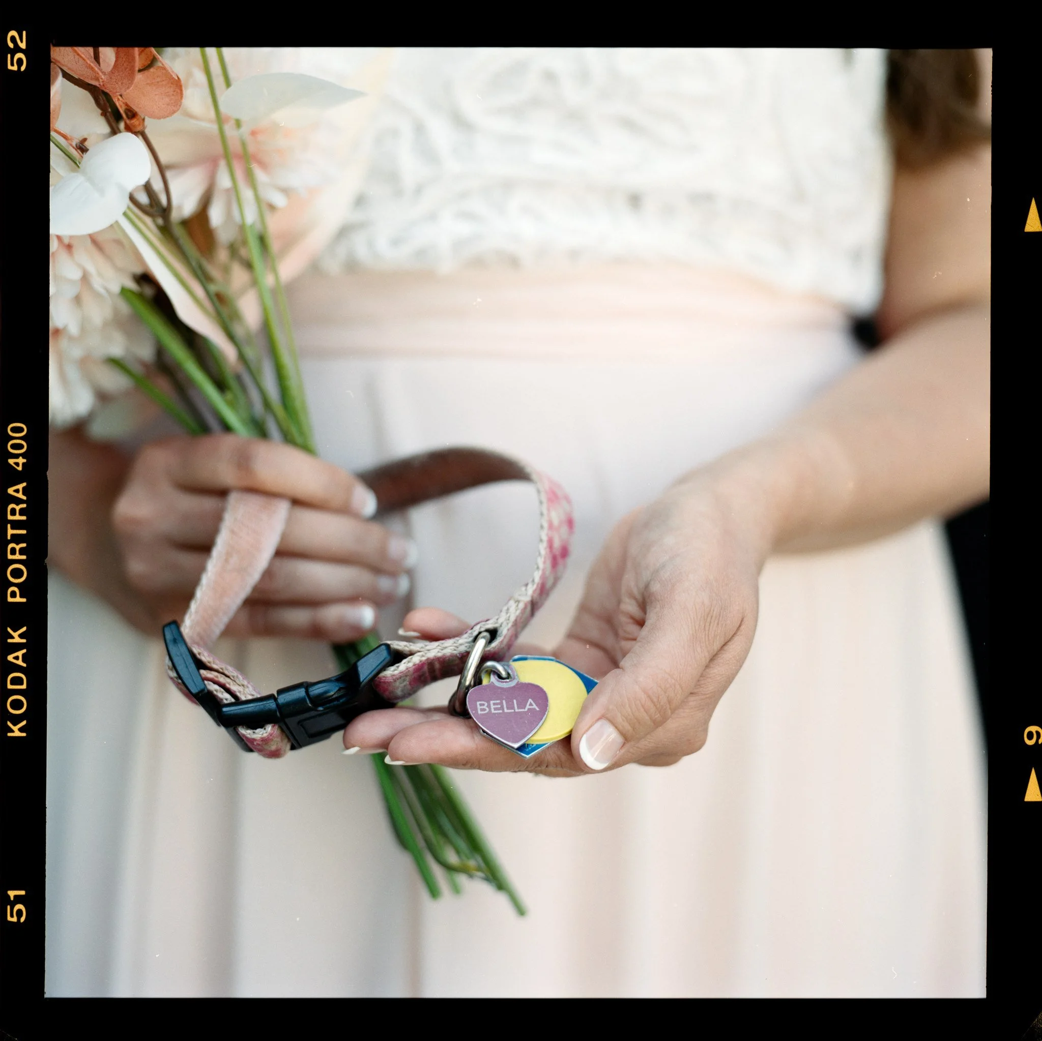 Close-up of a woman's hand holding a dog collar with a name tag that says "BELLA," with white flowers in her other hand in the background.