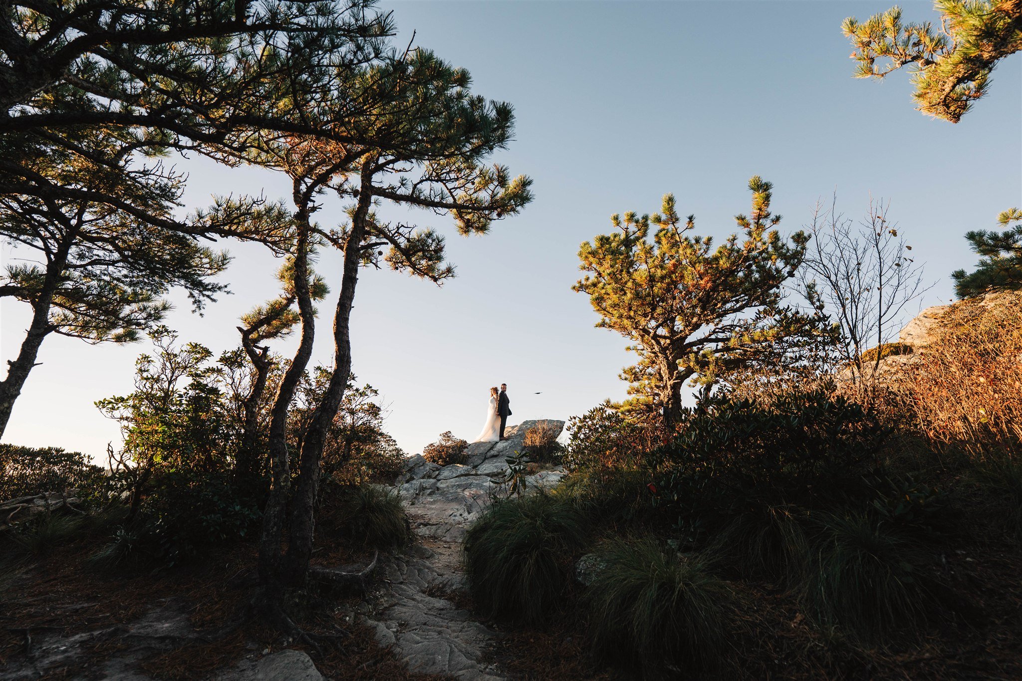 A bride and groom standing on a rocky hilltop surrounded by trees, with a clear sky in the background.