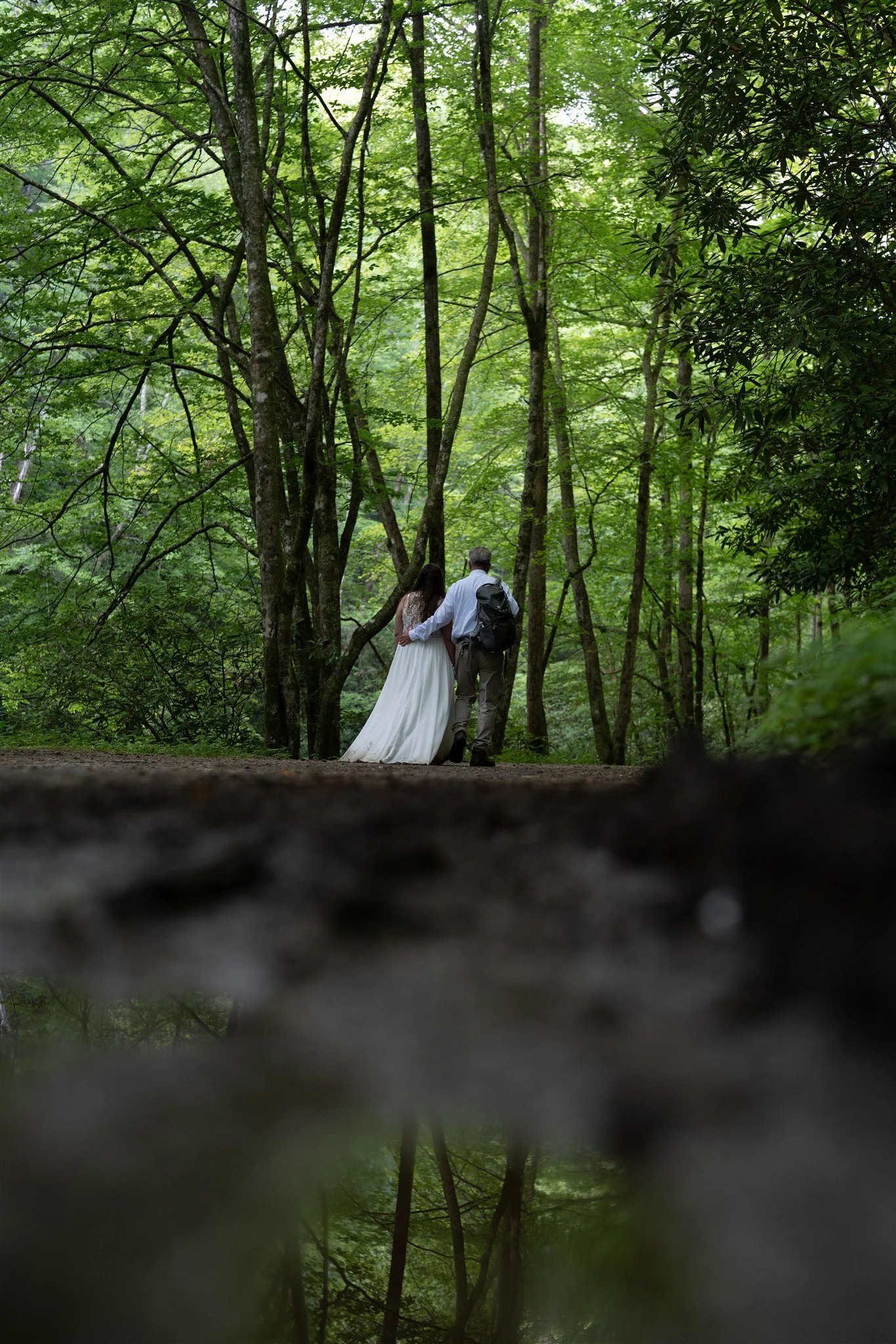 A man and woman, dressed in wedding attire, walking hand in hand through a lush green forest with tall trees and dense foliage.