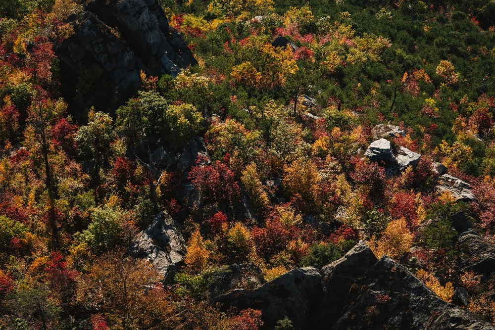 Autumn foliage and rocky mountain landscape in Western North Carolina