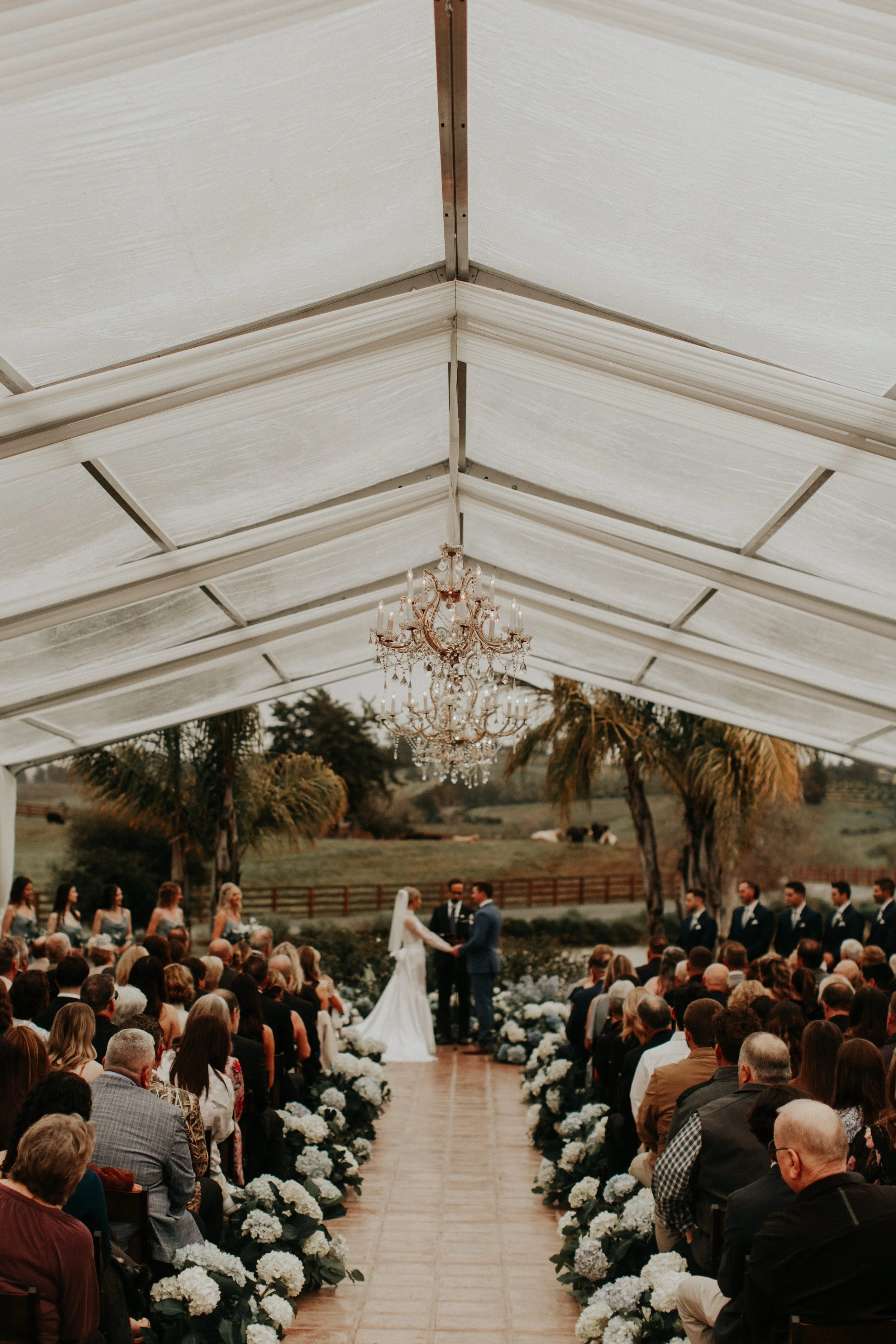 A wedding ceremony taking place under a white canopy with a chandelier, with the bride and groom exchanging vows, surrounded by guests and a scenic outdoor landscape with trees and grazing animals.