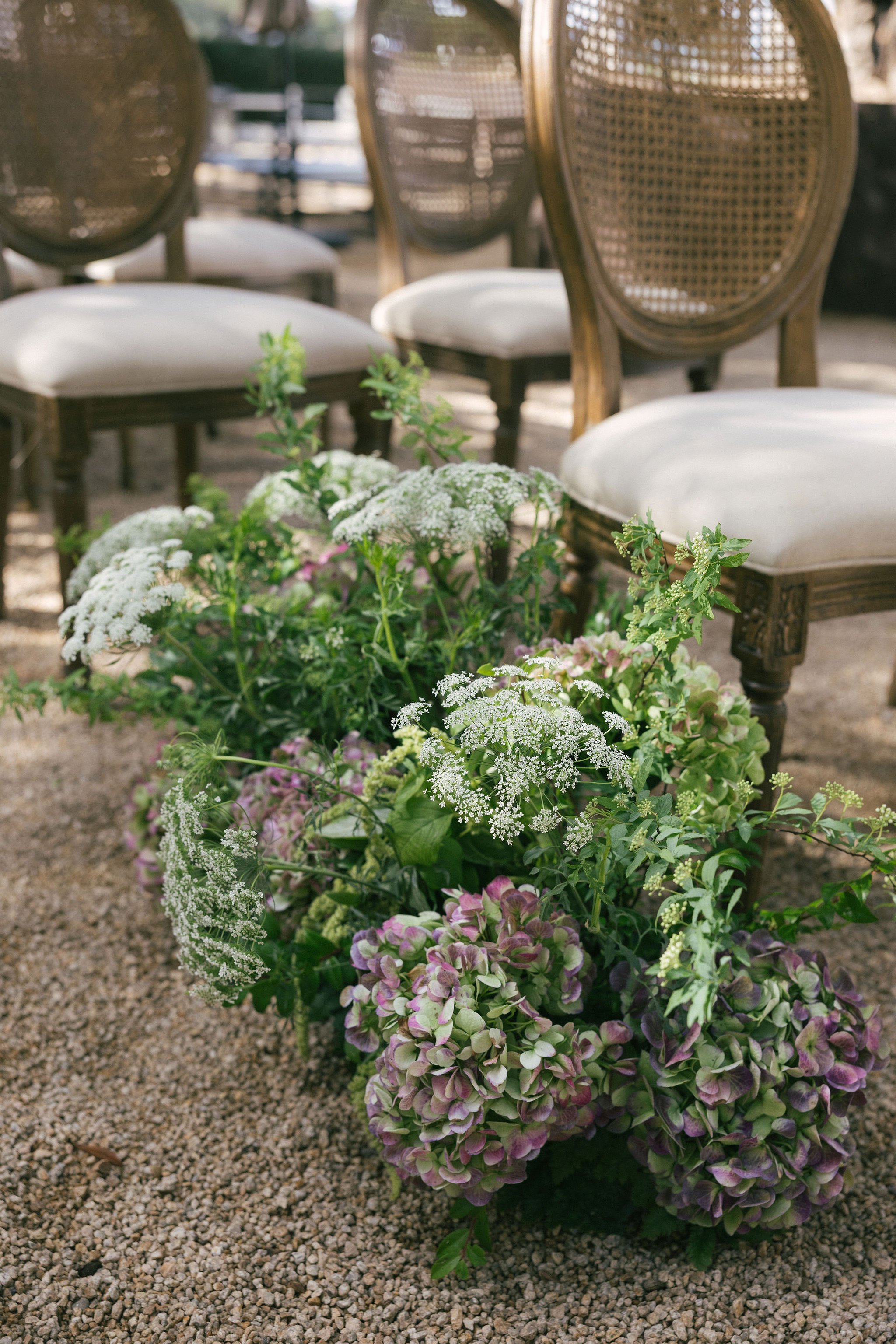 sierrawestphoto-78 (1).jpg