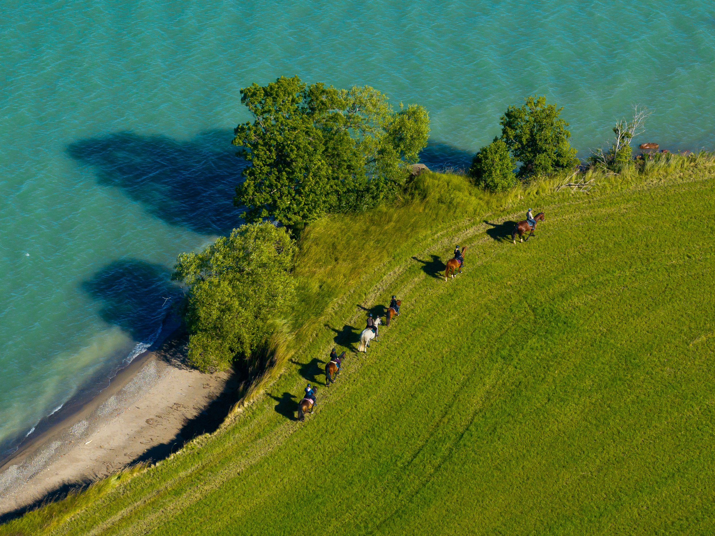 Ut på turridning Stall Roempke Visingsö