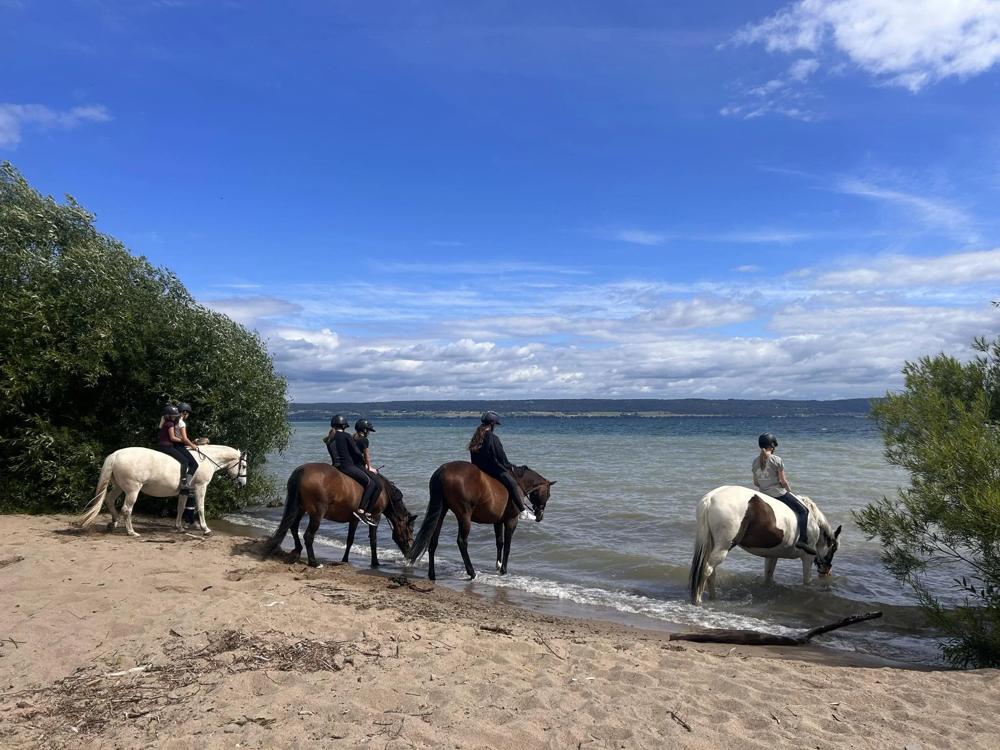 Turridning vid Vätterns strand Erstad Visingsö