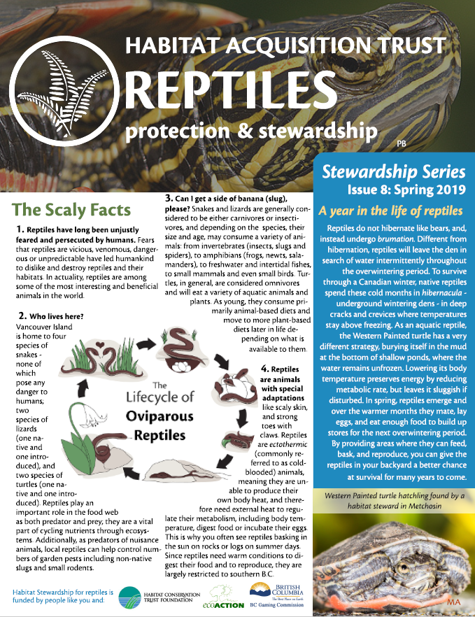 reptileguidefrontpage.png