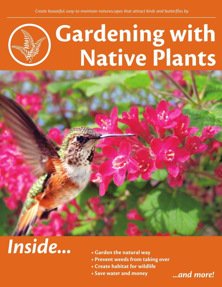 Gardening With Native Plants