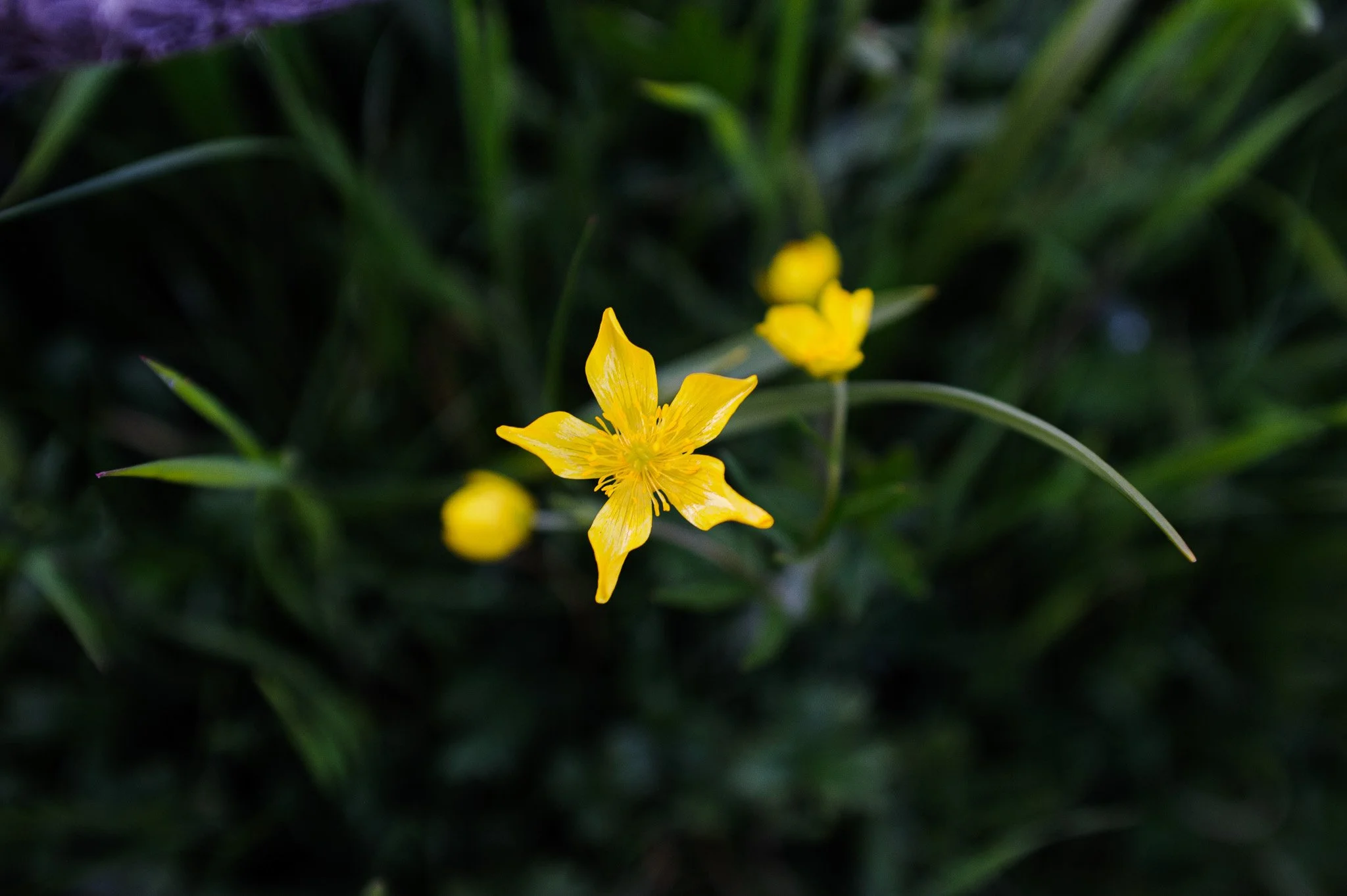 Playfair Park_04.16.202513.jpg