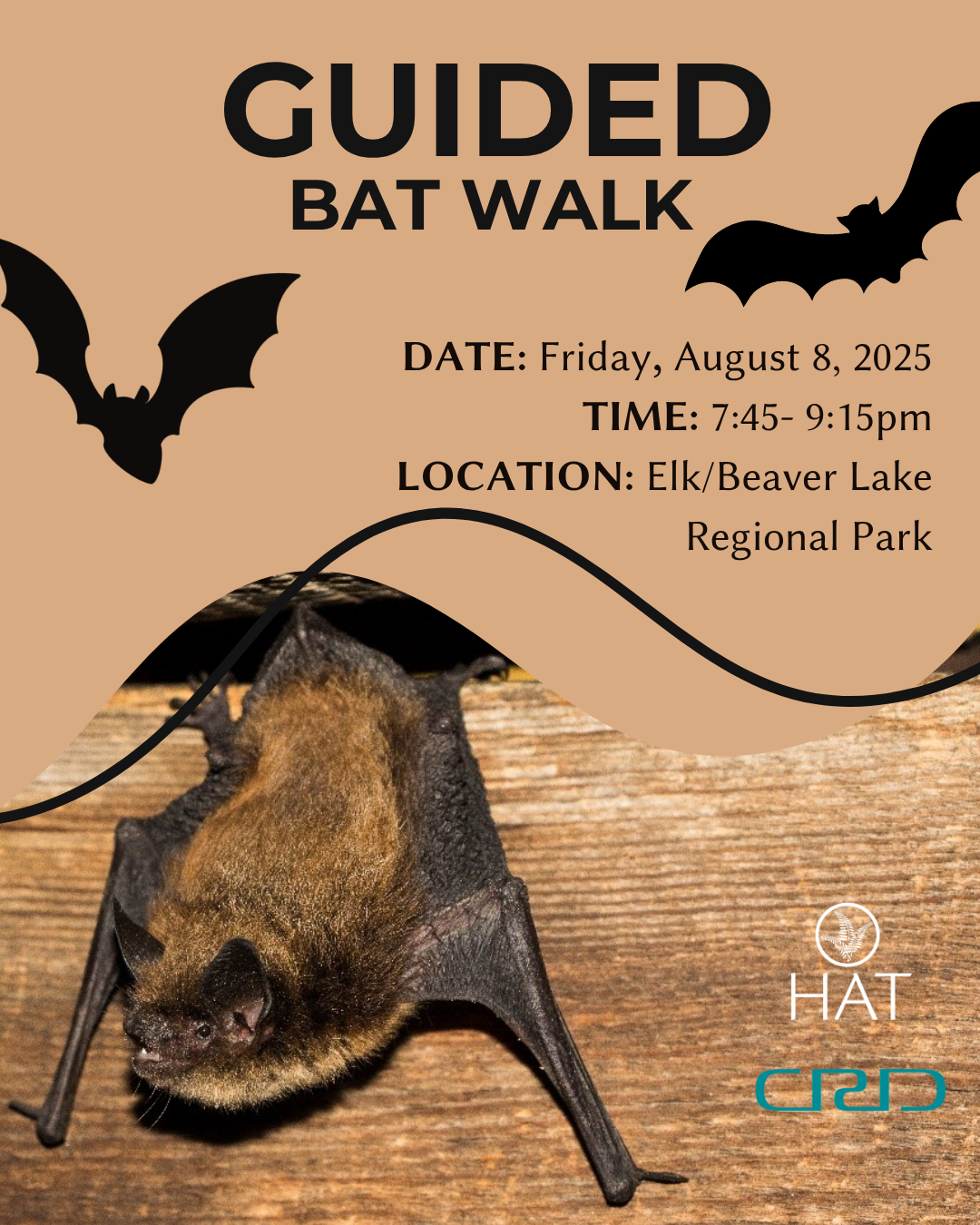 Guided Bat Walk with the CRD & HAT