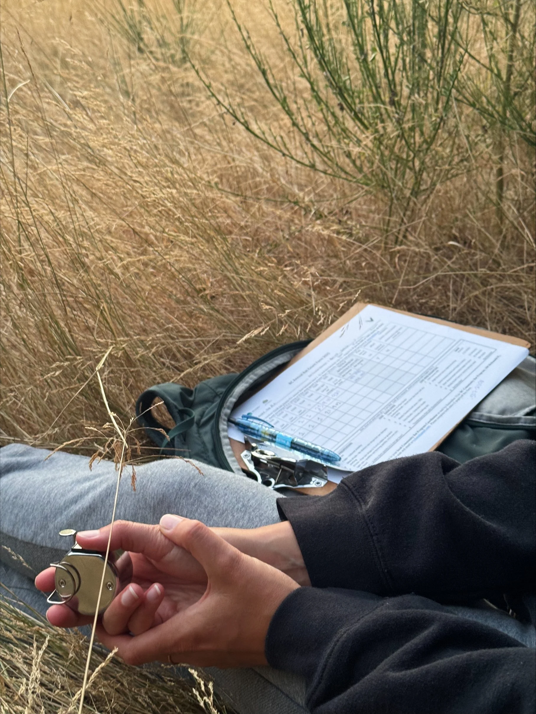 processed-919CA4BD-4A2F-4D9A-B893-DE072361CD57 (1).jpeg