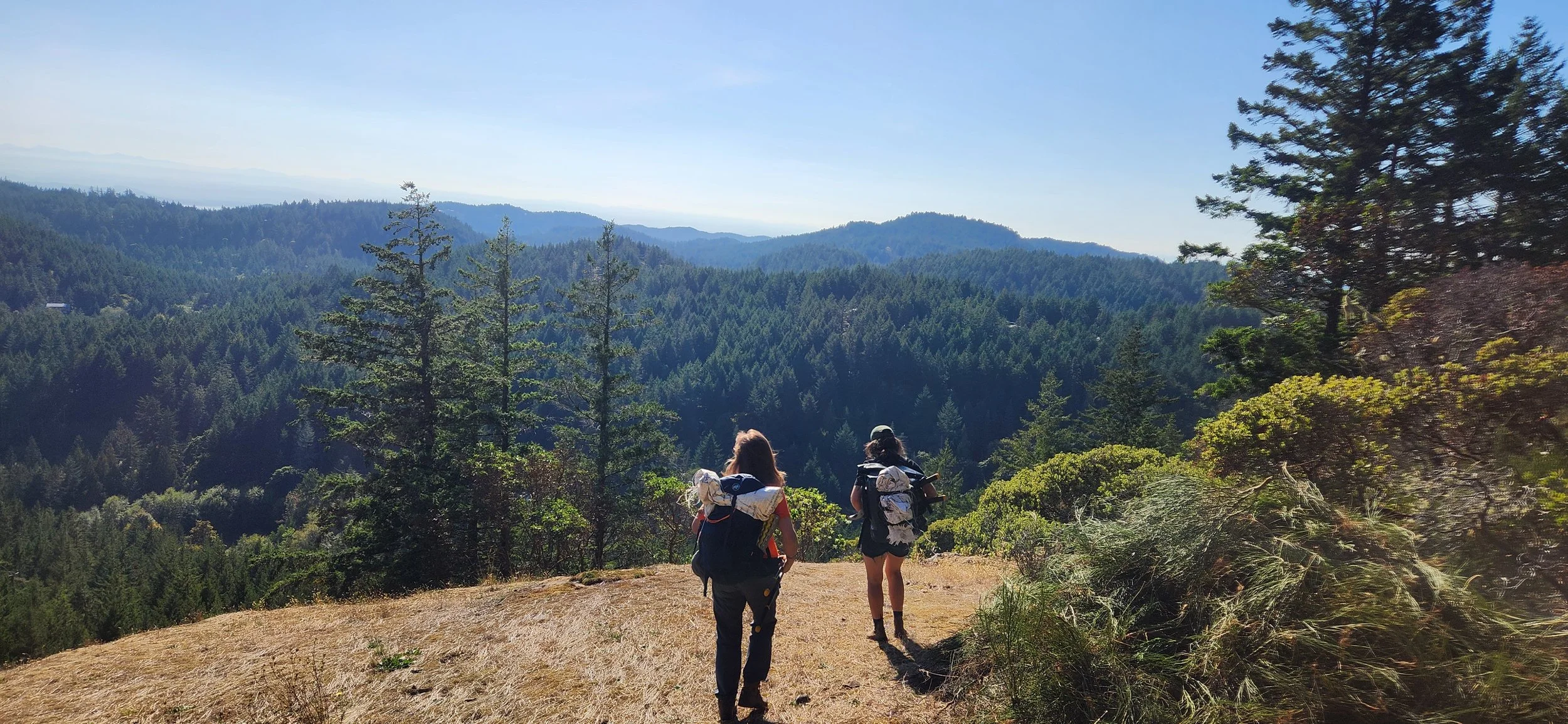 2025 Restoration Highlights