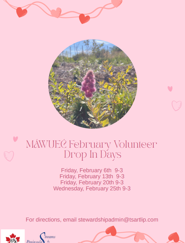 MÁWUEĆ Restoration Project