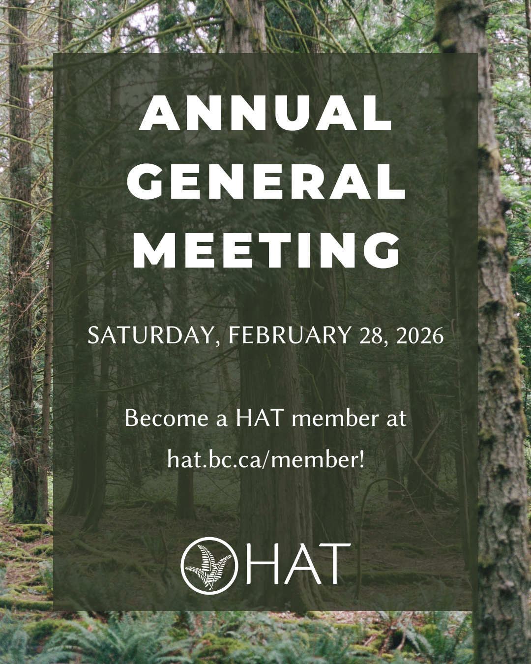 Annual General Meeting