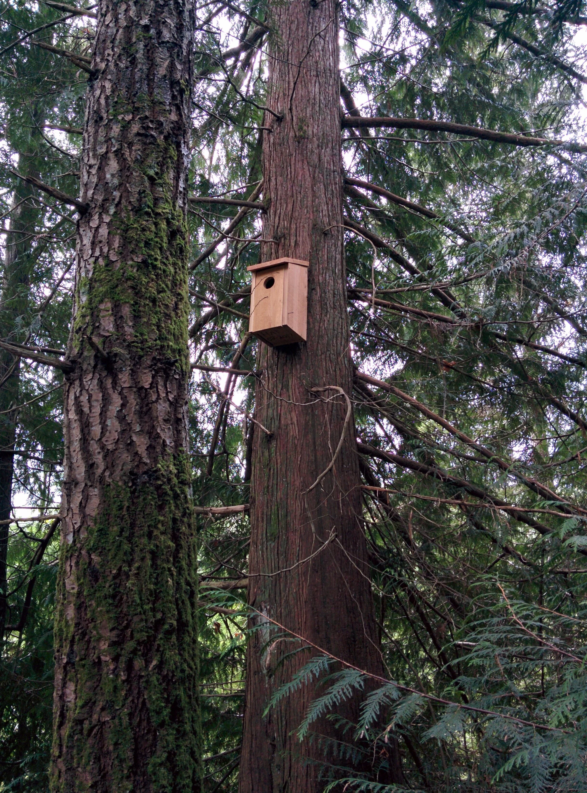 IMG_20170116_125754 (1).jpg