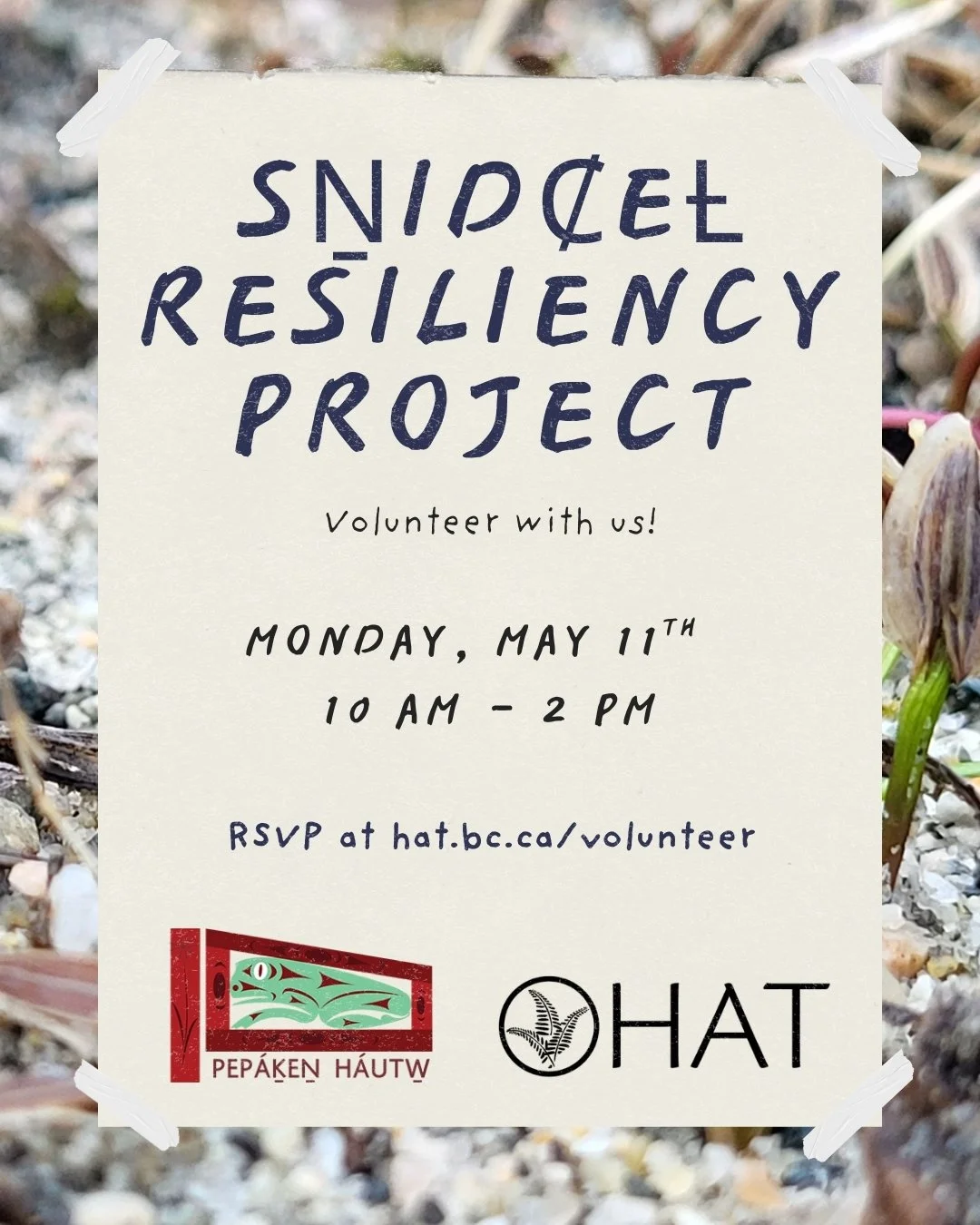 SṈIDȻEȽ Resiliency Project with PEPAKEṈ HÁUTW̱