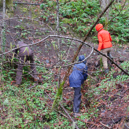 Healthy Planet, Healthy Communities&nbsp;