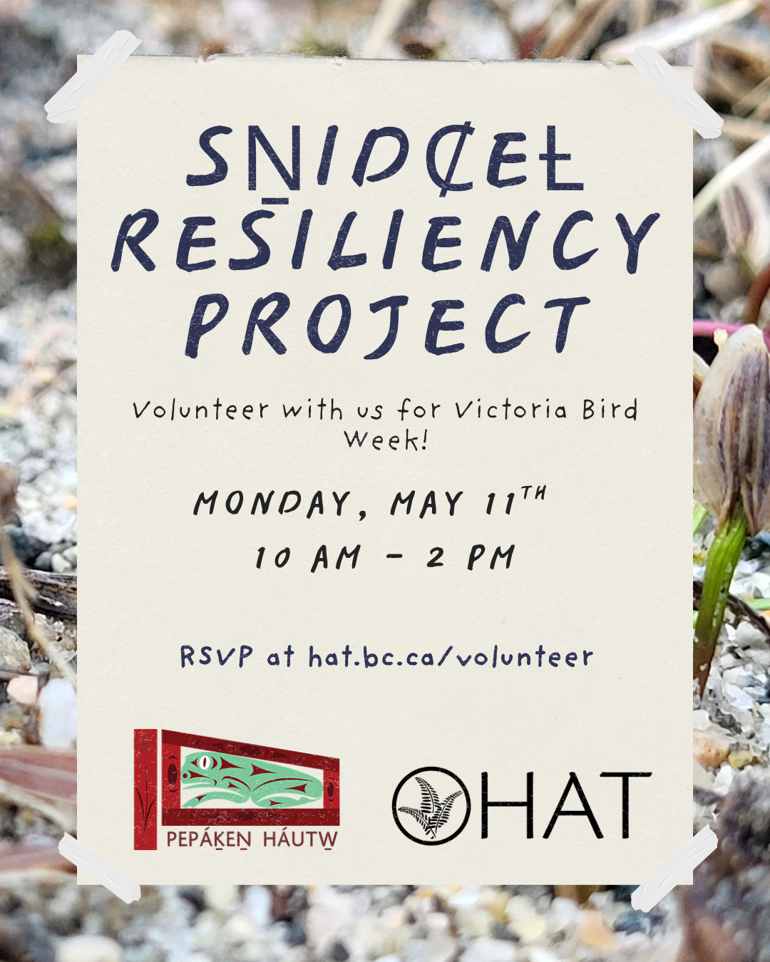 SṈIDȻEȽ Resiliency Project with PEPAKEṈ HÁUTW̱