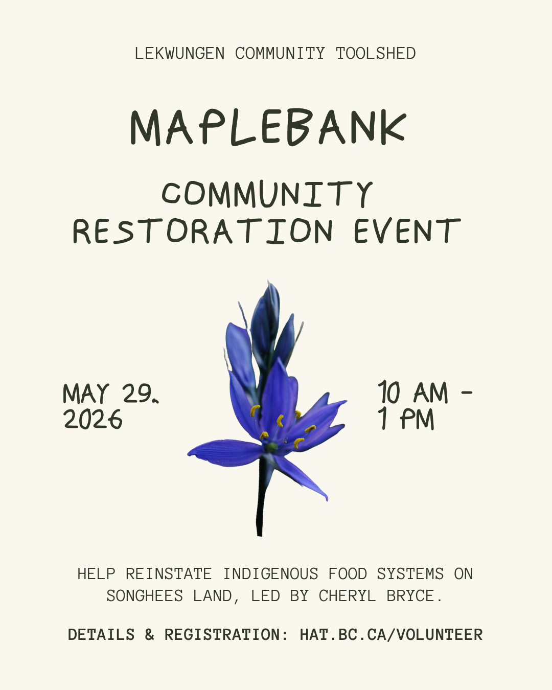 lək̓ʷəŋən Community Toolshed: Restoration at Maplebank