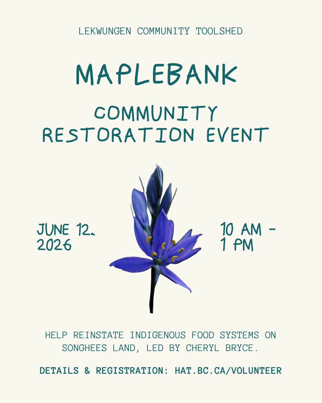 lək̓ʷəŋən Community Toolshed: Restoration at Maplebank