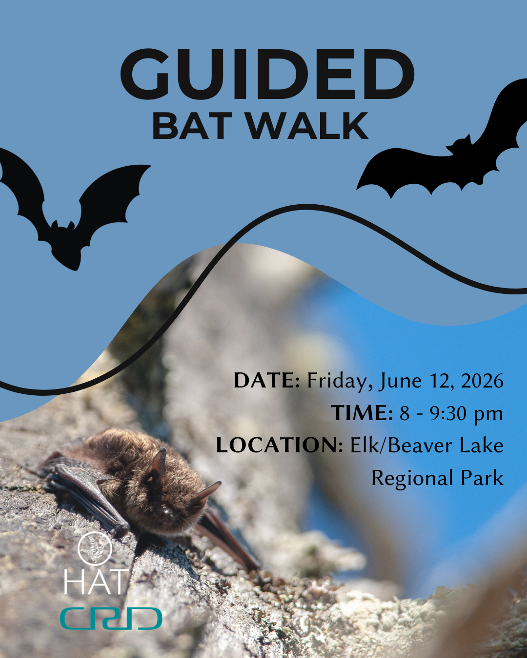 Guided Bat Walk CRD &amp; HAT