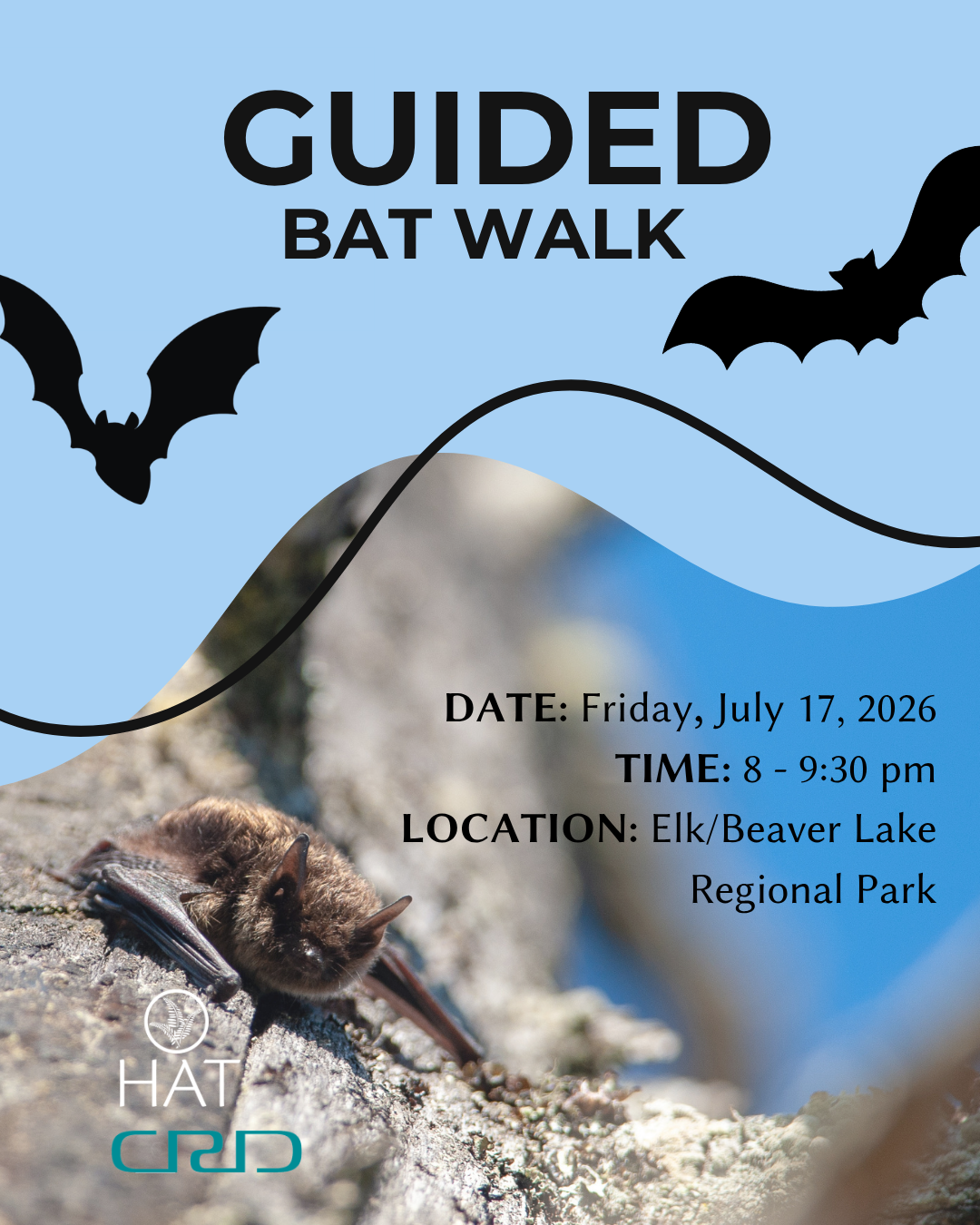 Guided Bat Walk CRD & HAT