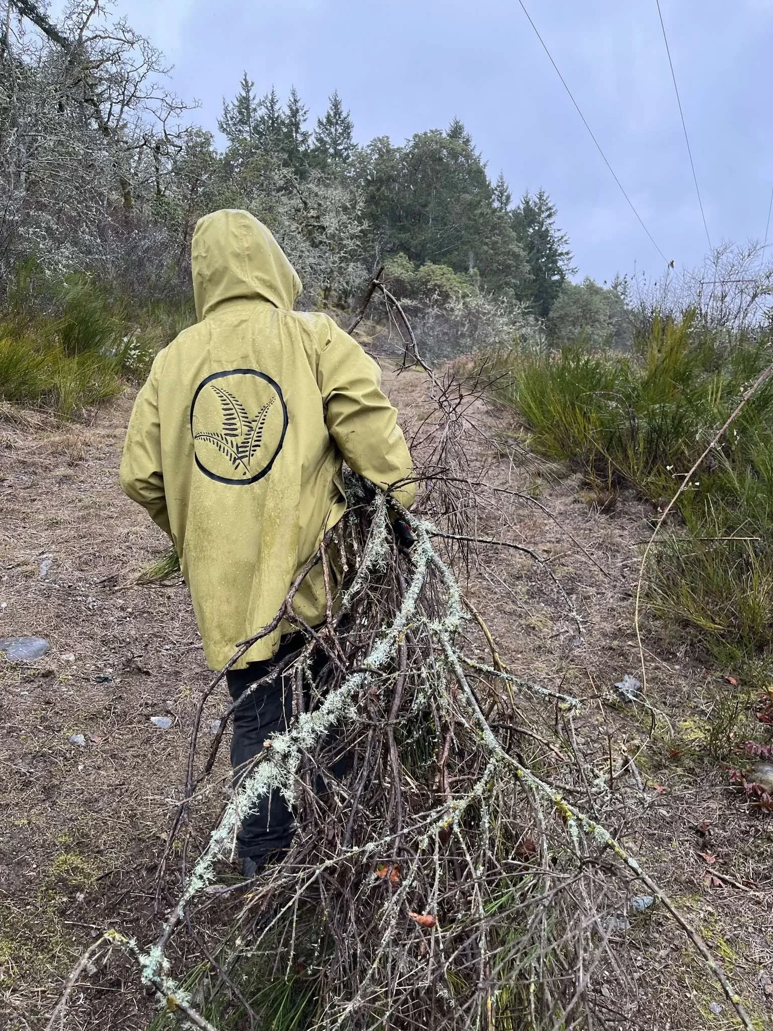 Five Practices for a Wildfire Resilient Property