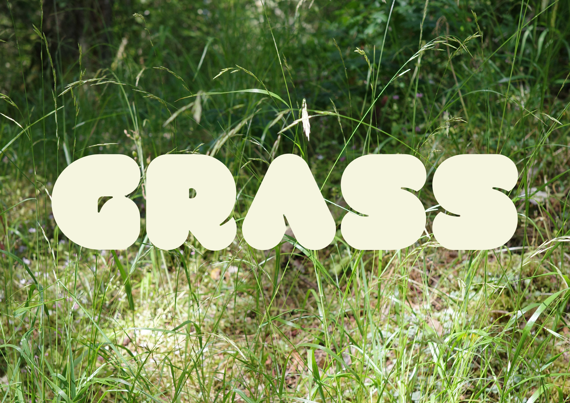 GRASS
